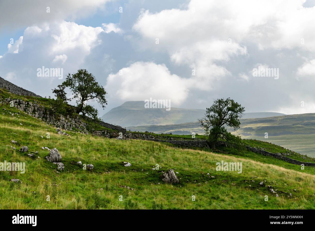 Kalksteinlandschaft in Ingleton, Yorkshire Dales, England. Stockfoto