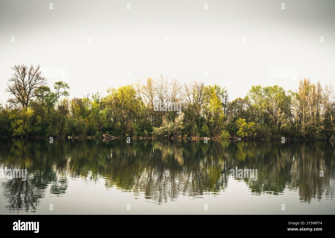 Insel in einem See an einem trostlosen grauen Frühlingstag, verschiedene Grün- und Gelbtöne, schöne Reflexionen Stockfoto