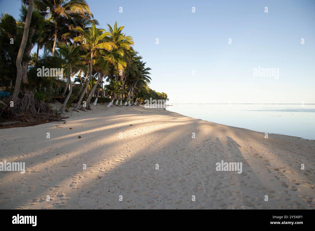 Der Sonnenaufgang wirft lange Schatten an einem ruhigen Strand, der von Palmen und ruhigen Gewässern gesäumt ist, Titikaveka, Rarotonga, Cook Islands Stockfoto