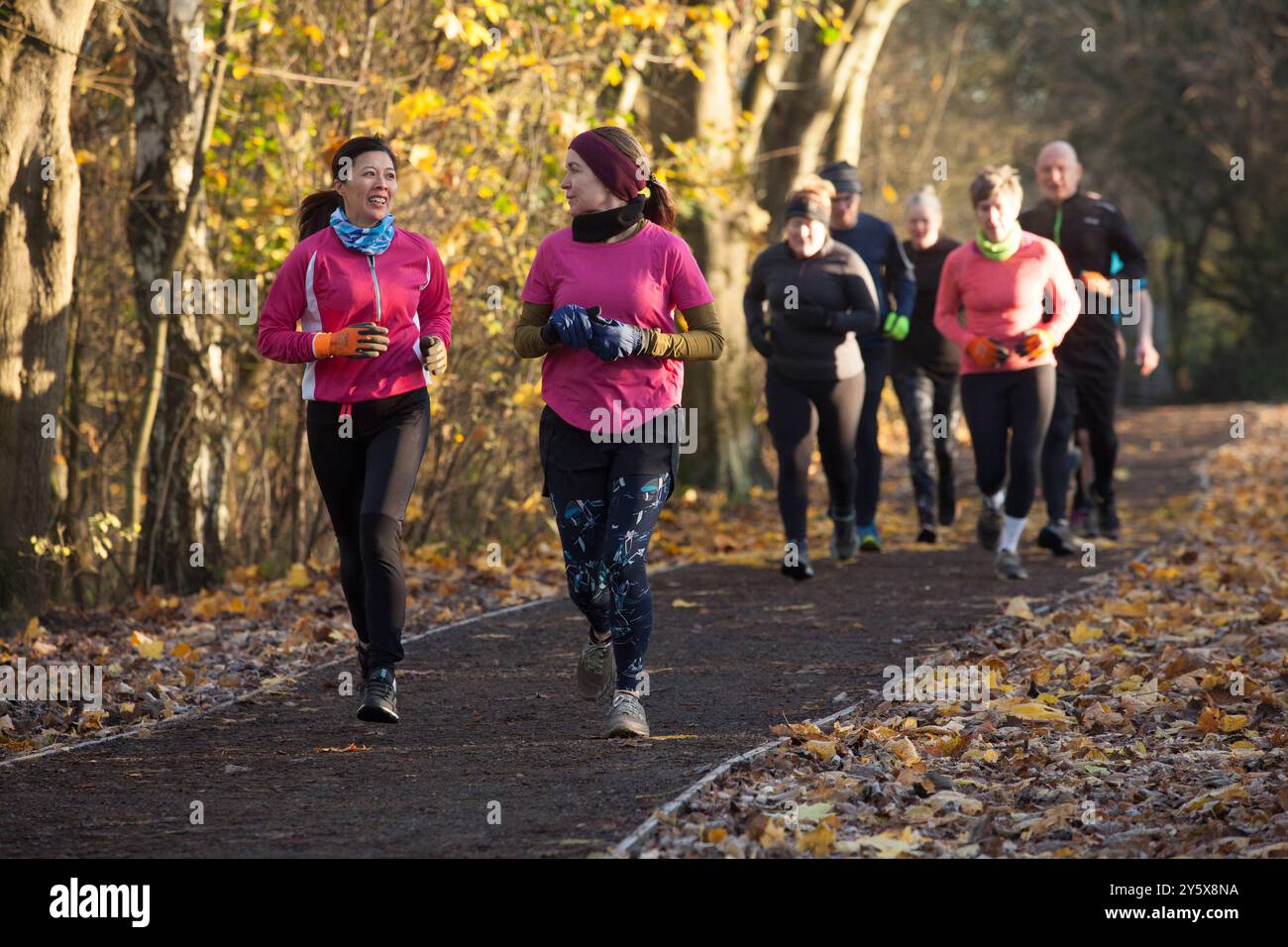 Gruppe von Erwachsenen, die gemeinsam auf einem mit Blättern übersäten Pfad in einer herbstlichen Umgebung joggen. Stockfoto