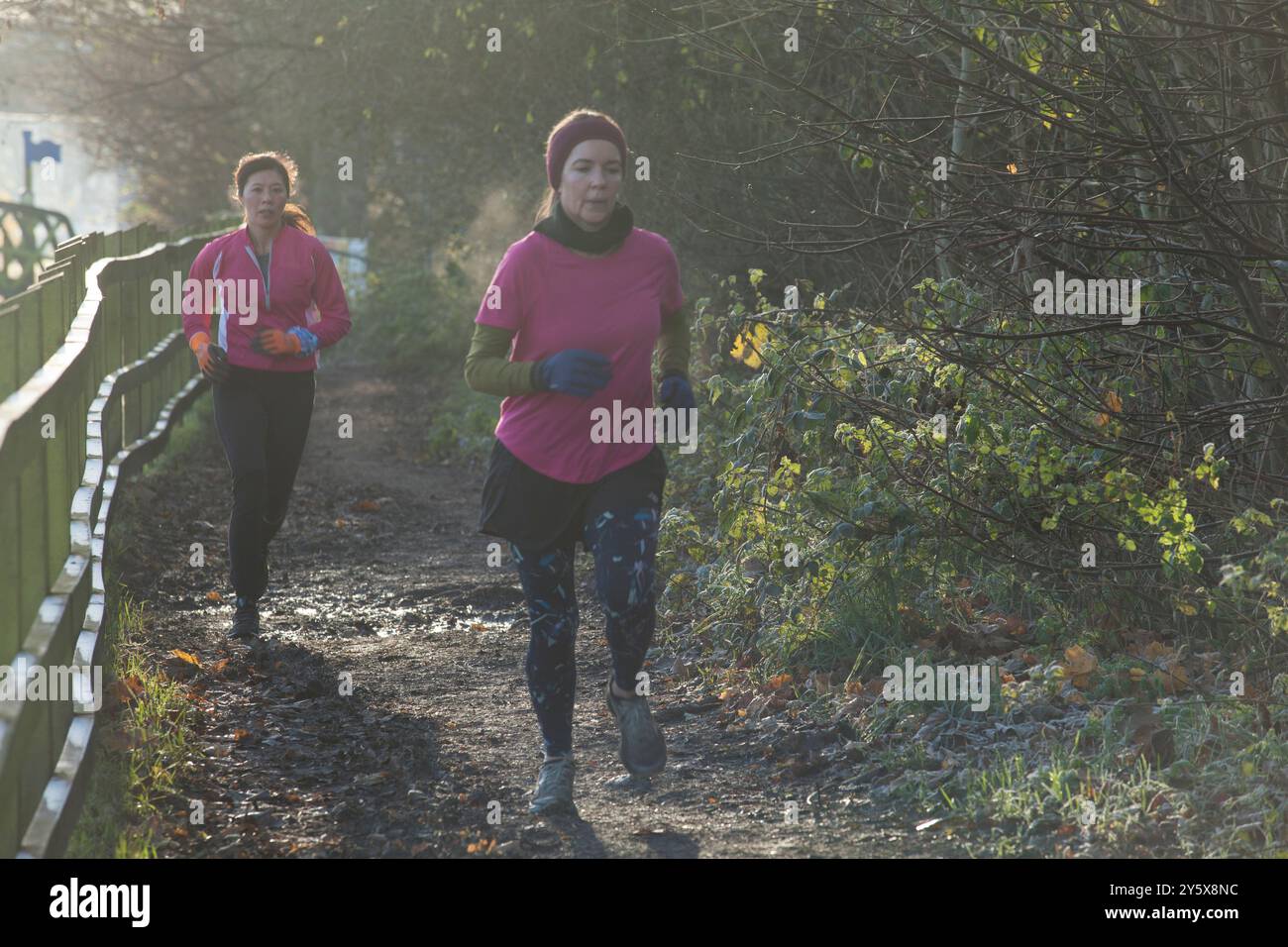 Zwei Frauen joggen auf einem sonnendurchfluteten Weg neben einem Zaun mit Grün um sie herum. Stockfoto