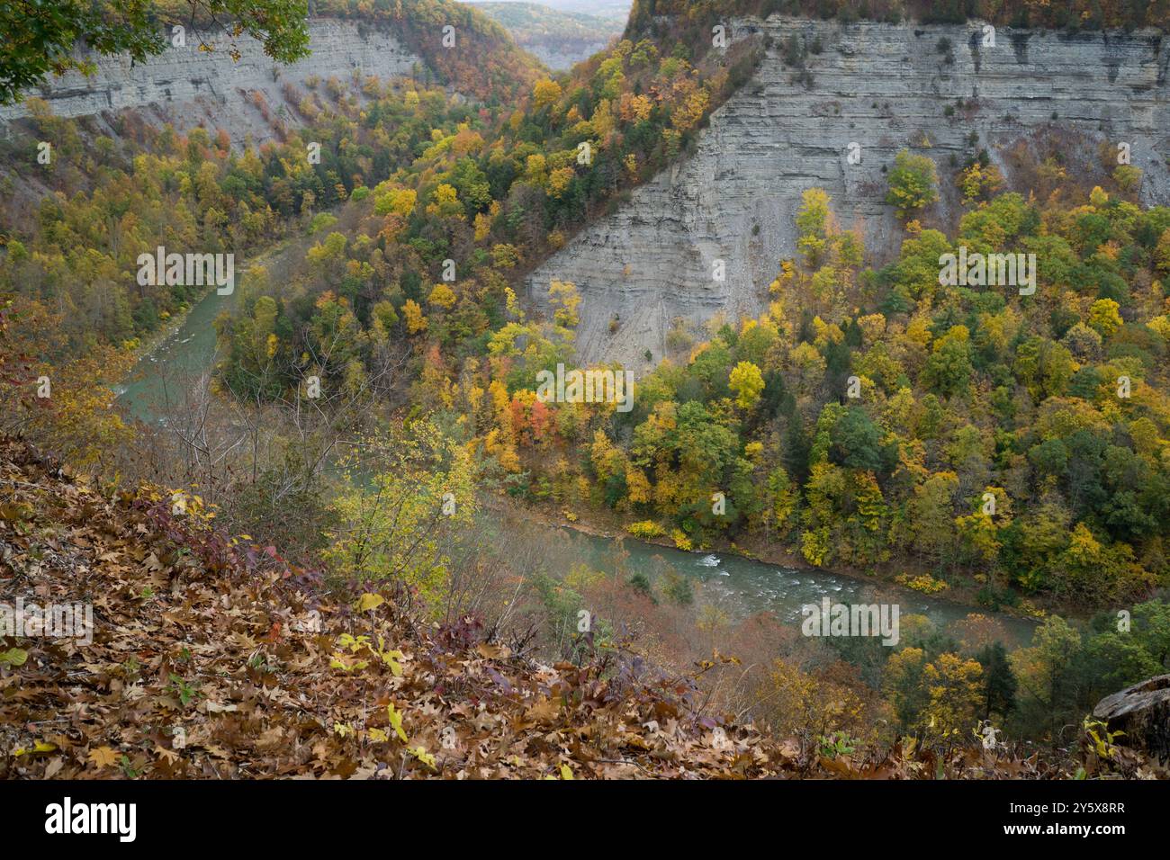 Der Fluss verläuft durch die Schlucht mit herbstlichen Farben Stockfoto
