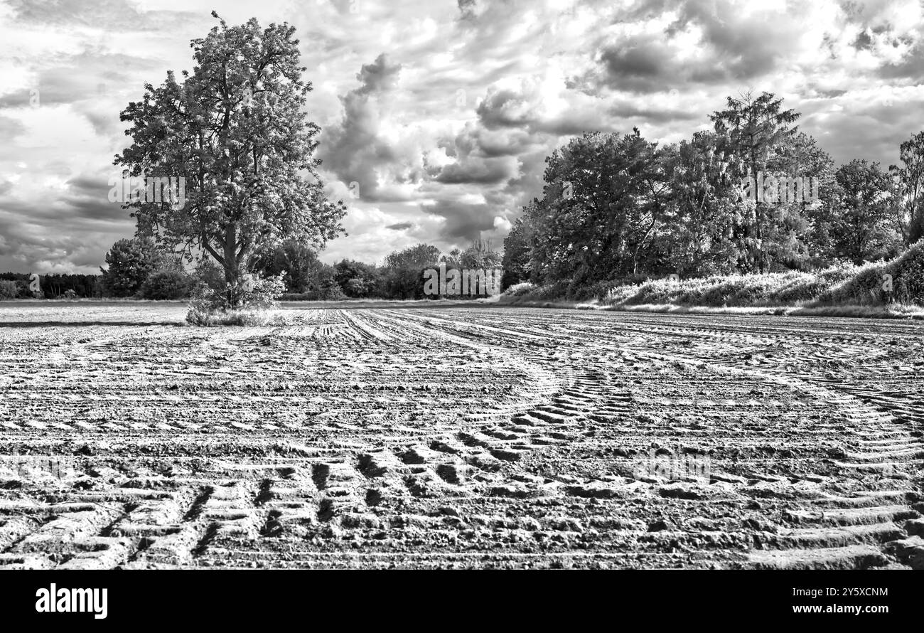 Schwarz-weiß-Exposition eines leeren Feldes in einer ländlichen Landschaft mit halbkreisförmigen Spuren von Traktorreifen am Boden, die zum Horizont führen Stockfoto
