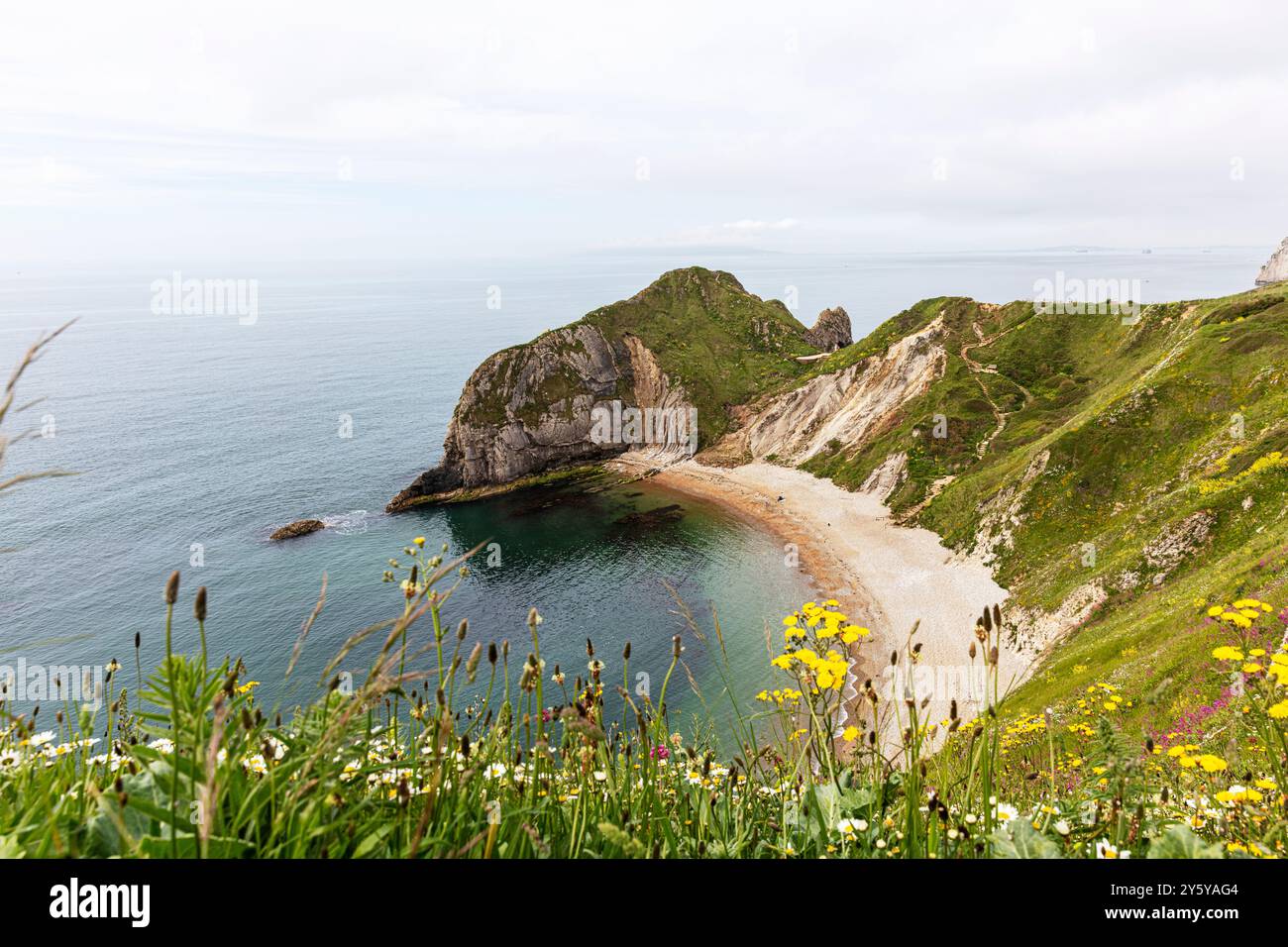 Man O' war Cove, Dorset Coast, England, man o' war Cove liegt an der Küste von Dorset im Süden Englands und wird von den felsigen, steilen und leicht p flankiert Stockfoto