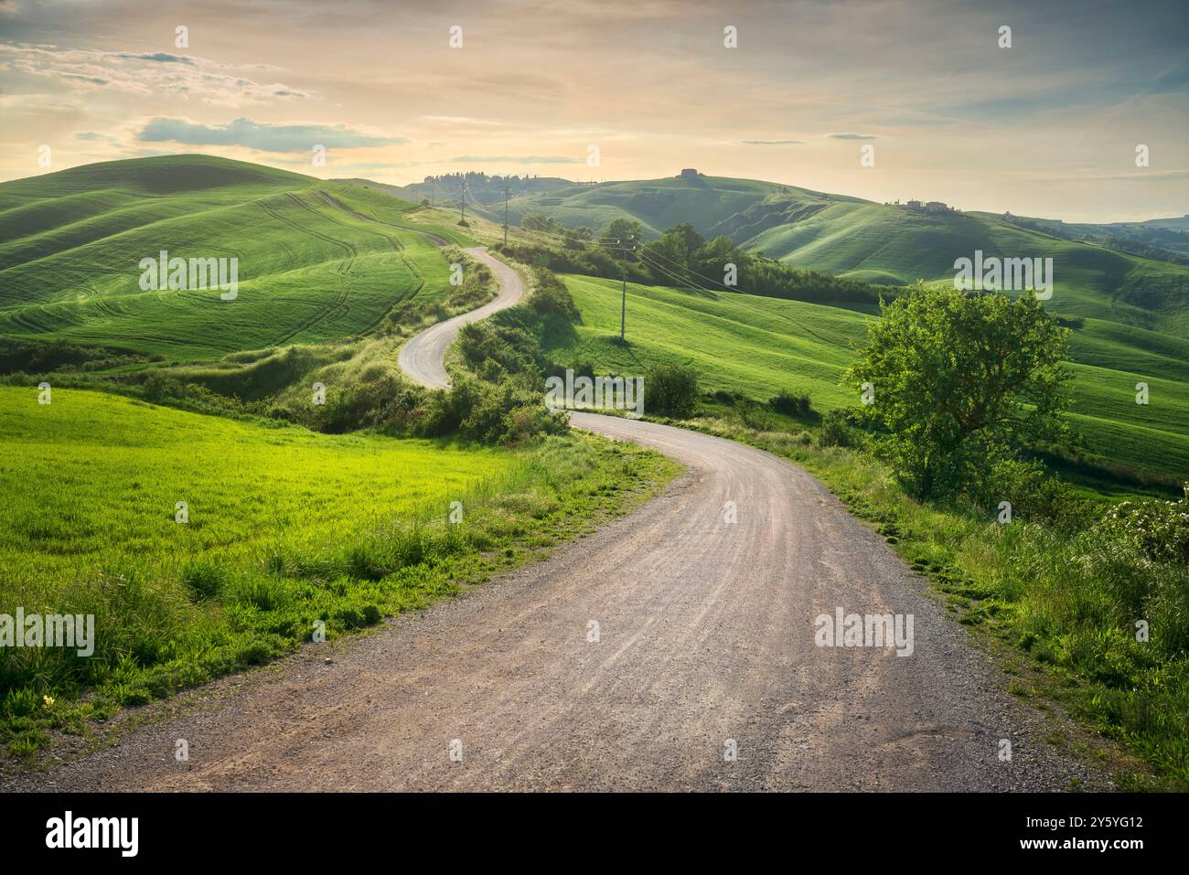 Kurvige Straße und sanfte Hügel in der toskanischen Landschaft von Crete Senesi. Frühlingslandschaft in Monte Sante Marie, Provinz Siena, toskanische Region, IT Stockfoto