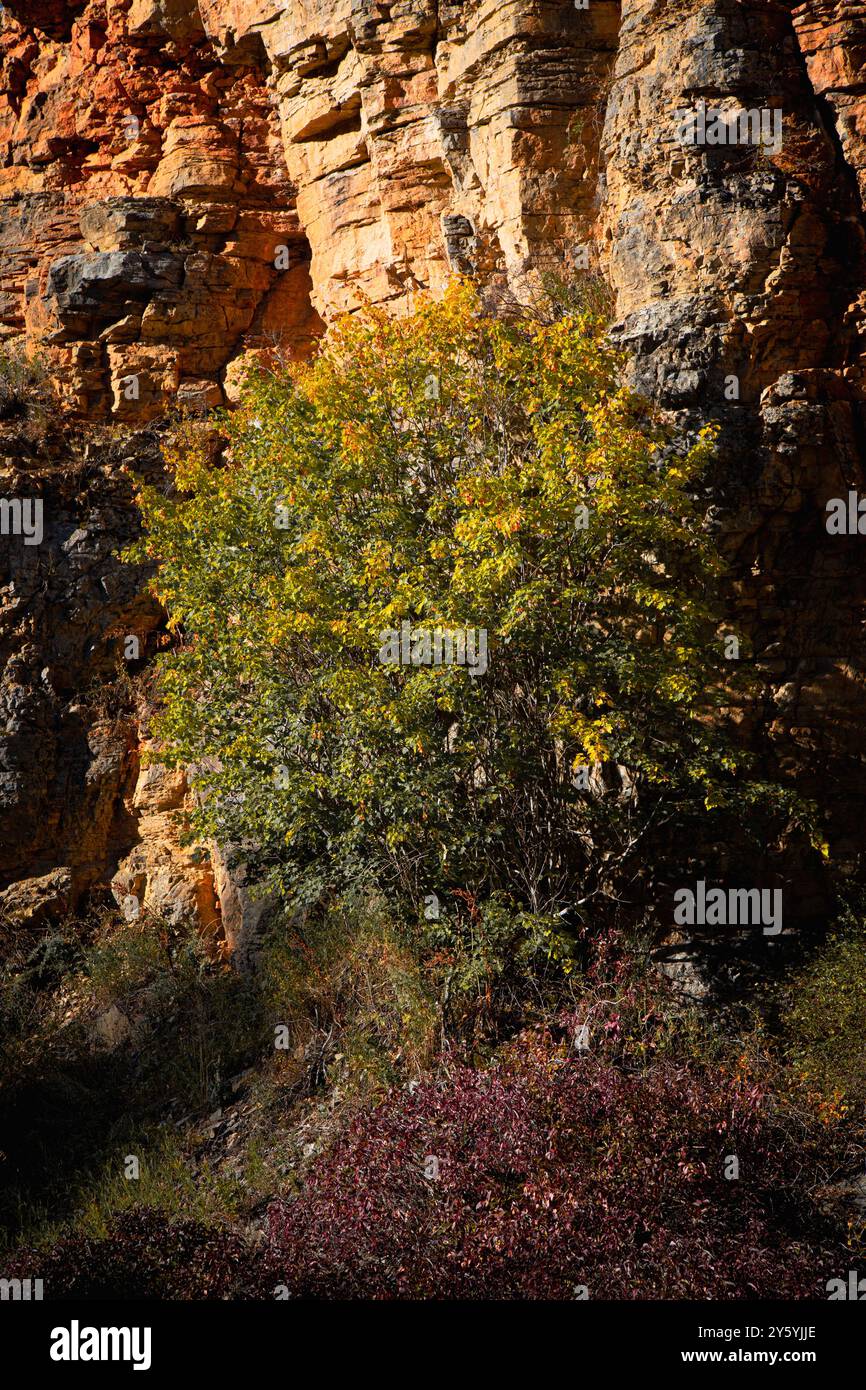 Farbenfrohe Landschaft neben dem Kings Hill Scenic Byway, dank Felsschichten und Herbstschattierungen. Stockfoto