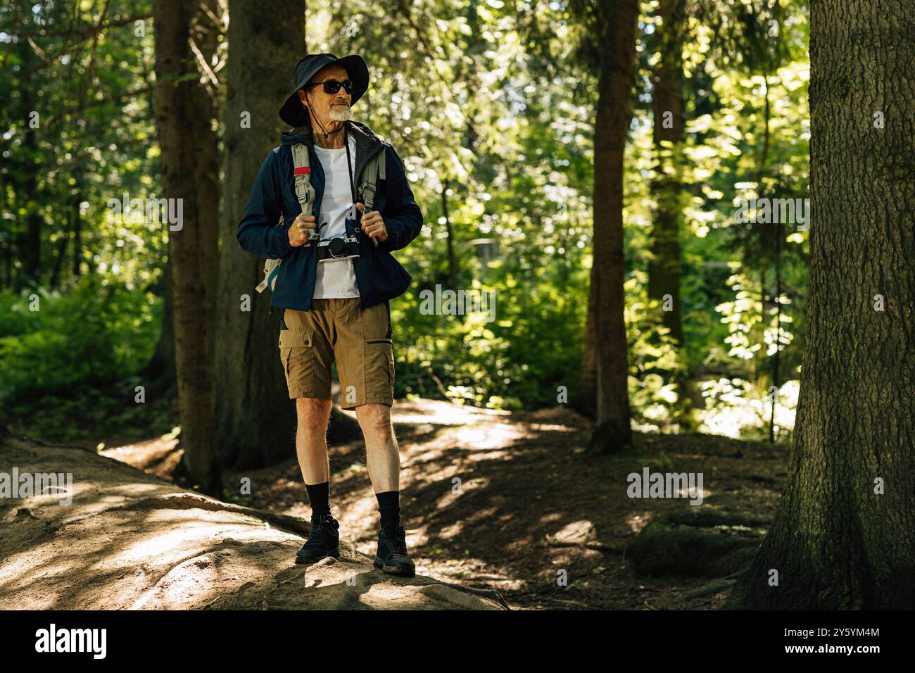 Selbstbewusster Senior Tourist steht mit Rucksack im Wald und blickt weg. Selbstbewusster Senior Tourist steht mit Rucksack im Wald und blickt weg Stockfoto