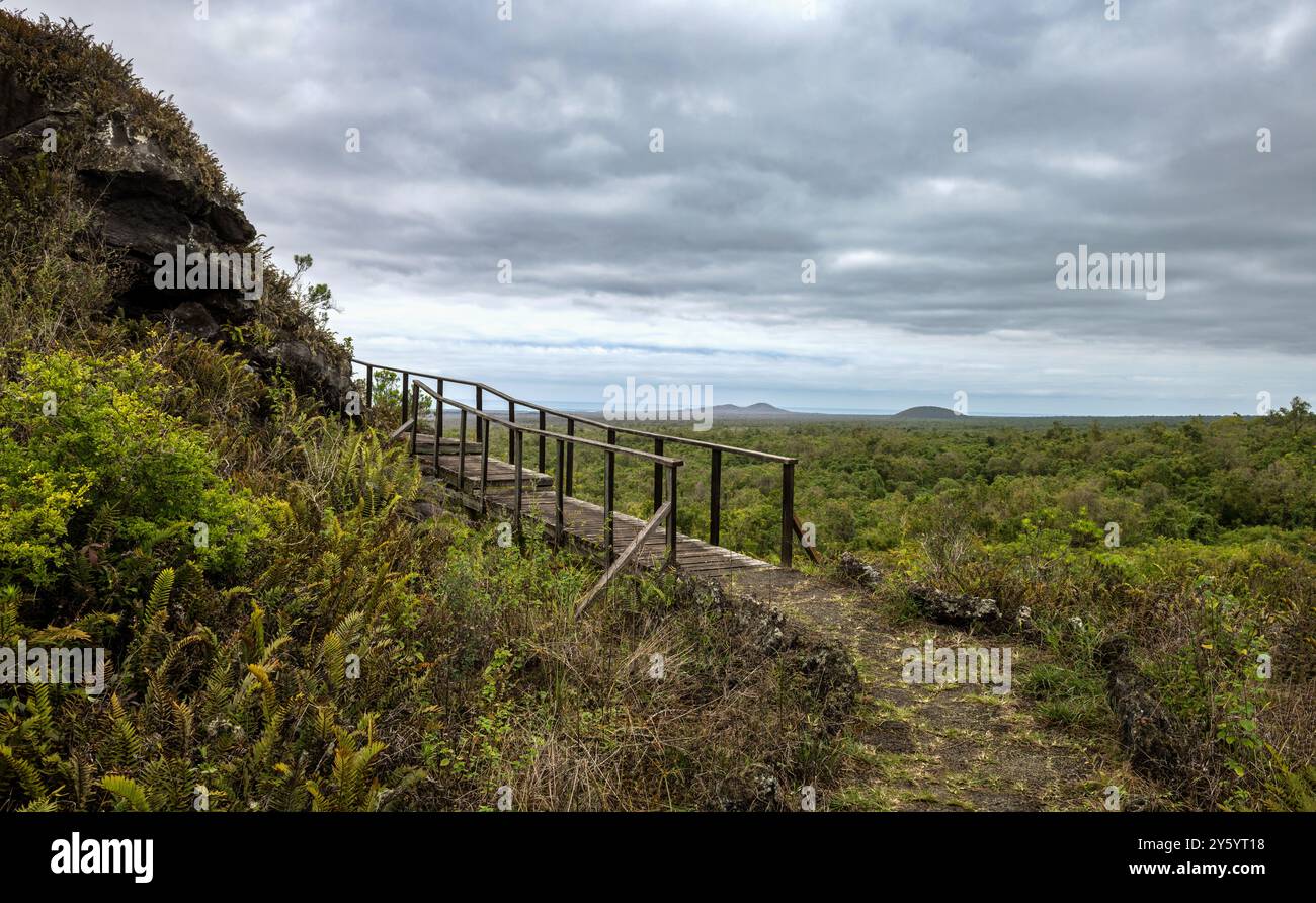 Wanderweg auf der Isabela Insel der Galapagos Inseln Stockfoto