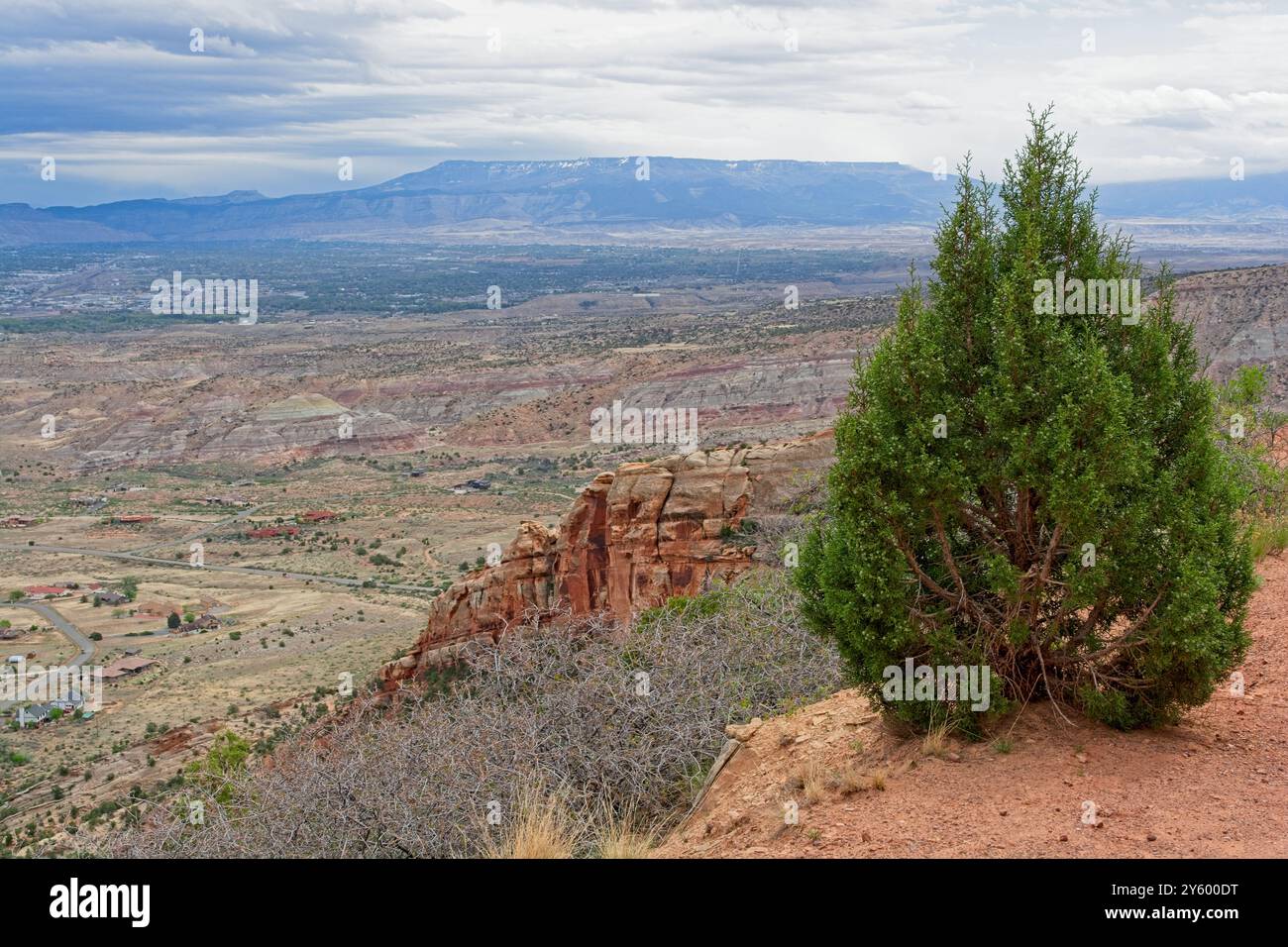 Blick auf das Grand Valley und Buchen Sie Klippen jenseits der roten Sandsteinformationen des Colorado National Monument Stockfoto