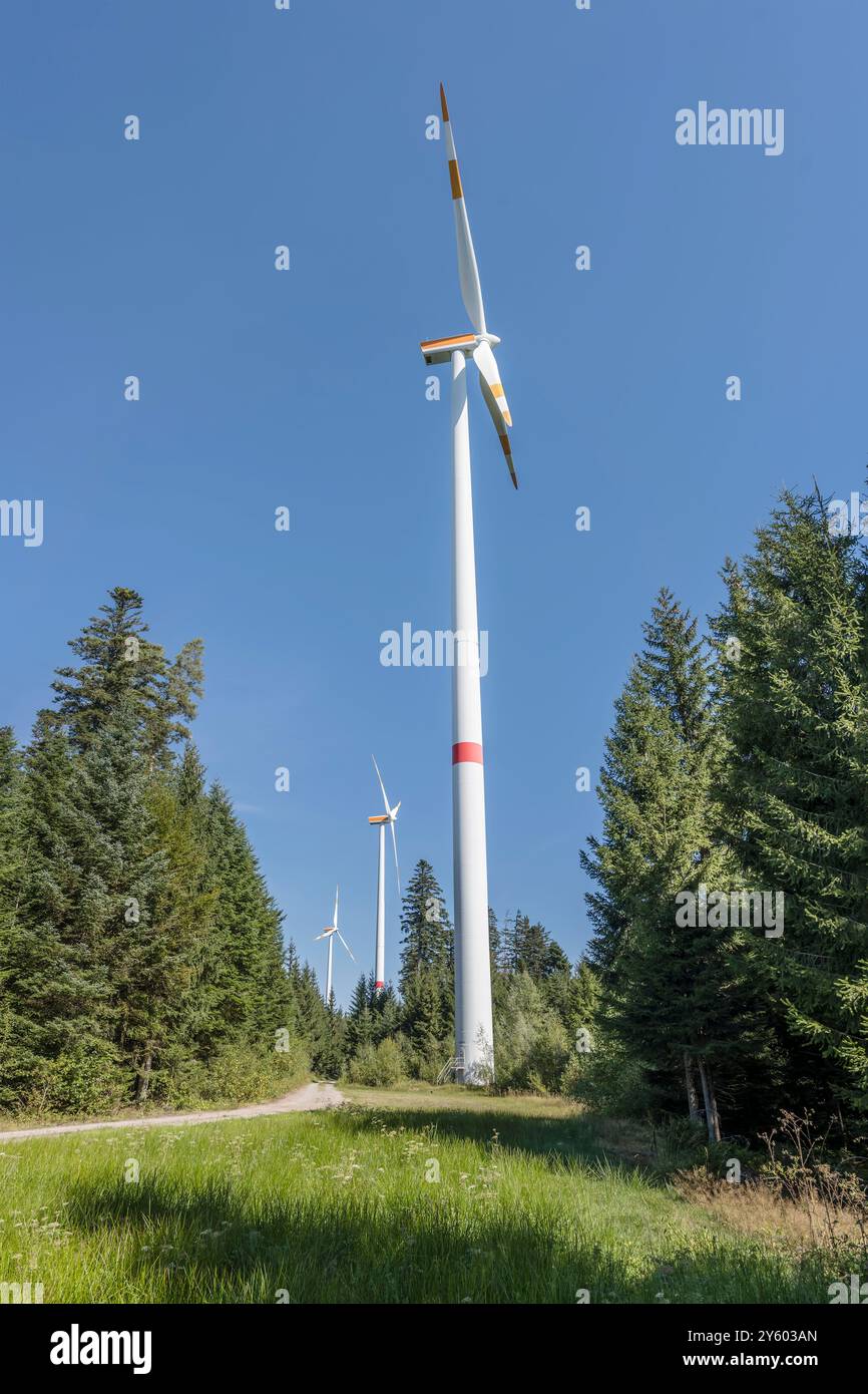 Große Windmühlen am Windpark im Wald, in hellem Sommerlicht bei Simmersfeld, Schwarzwald, Baden Wuttenberg, Deutschland Stockfoto