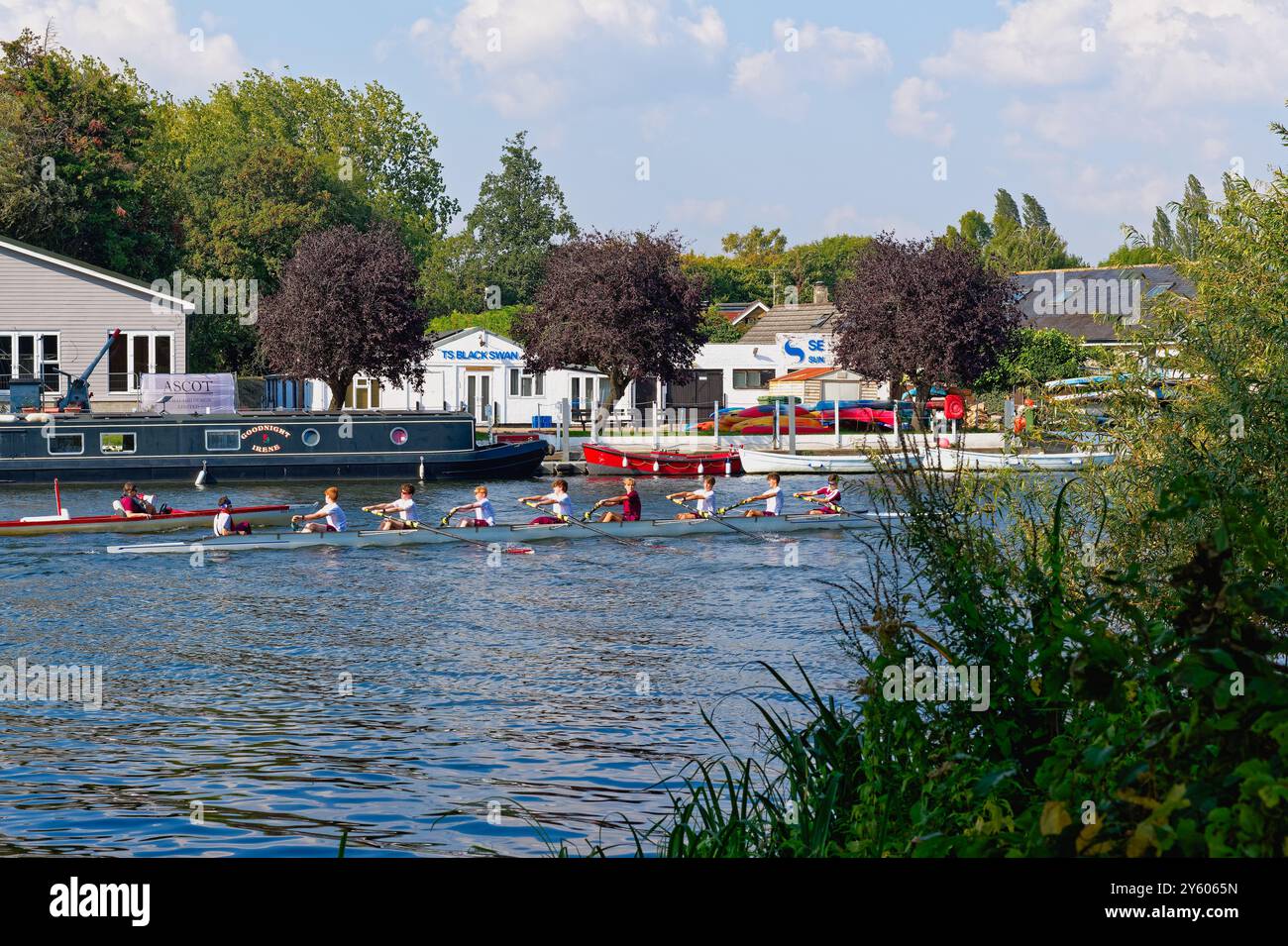 Acht junge Männer, die an einem sonnigen Sommertag auf der Themse in Shepperton trainiert werden Stockfoto