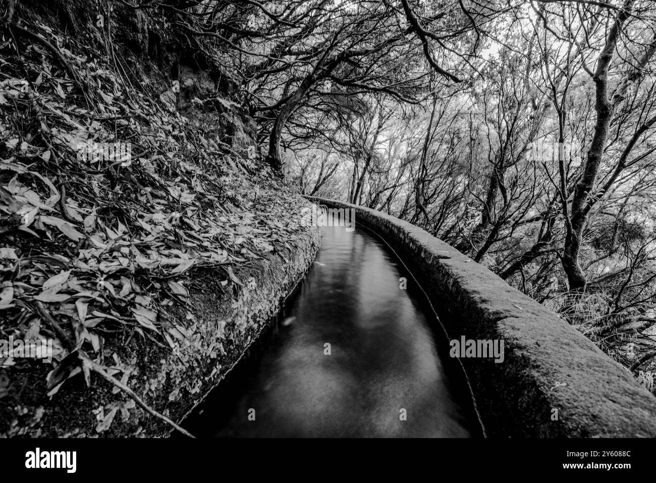 Die 25 Fontes Levada in Calheta in Rabacal mit Wasserfall und Brunnen und Lagune auf Madeira Island Stockfoto