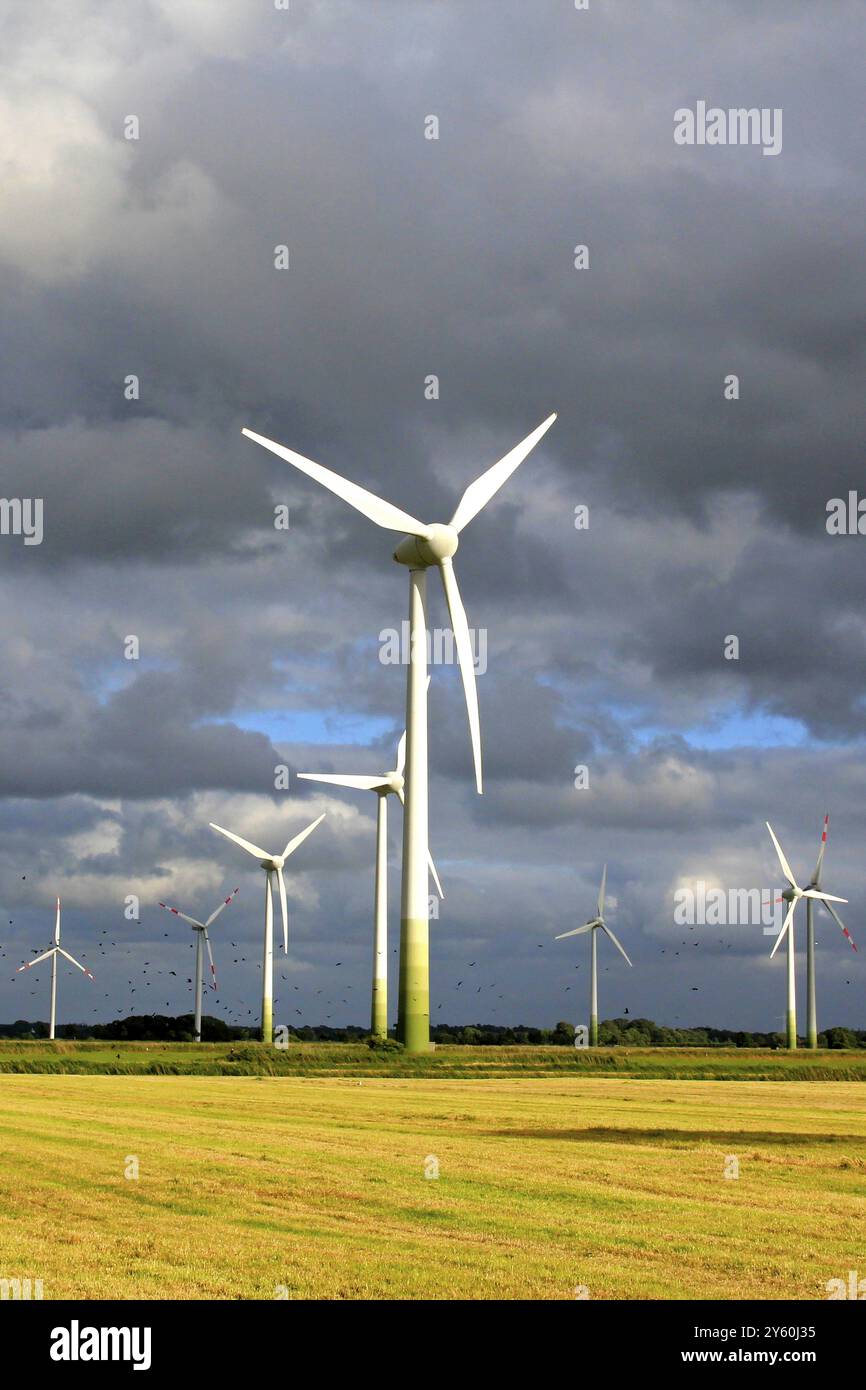 Windräder vor stürmischem Himmel und Rapsfeld, Ostfriesland, Niedersachsen, Bundesrepublik Deutschland, Niedersachsen, Bundesrepublik Deutschland Stockfoto