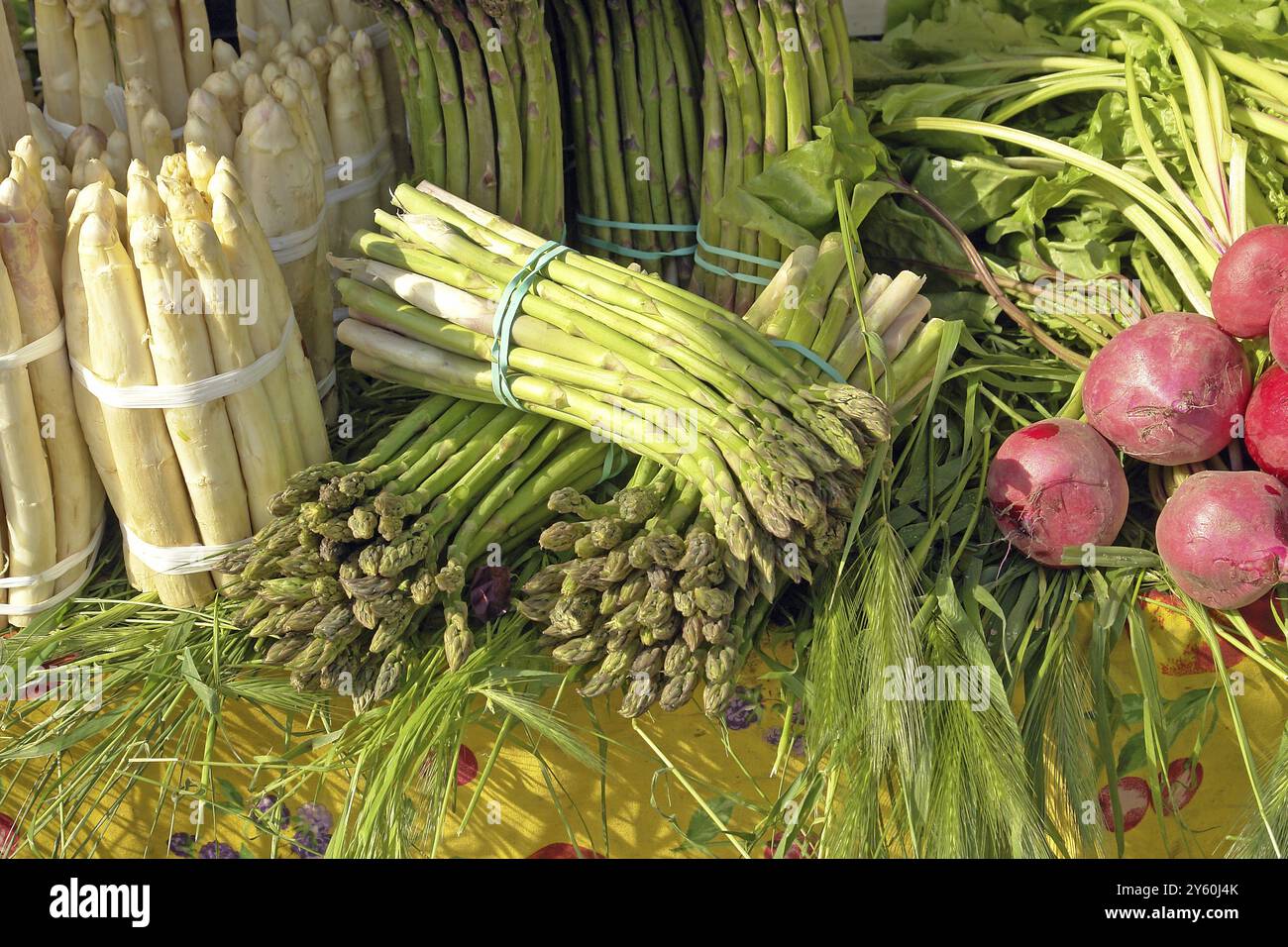 Grüner und weißer Spargel, Marktstand in Italien, Venedig, Italien, Europa Stockfoto