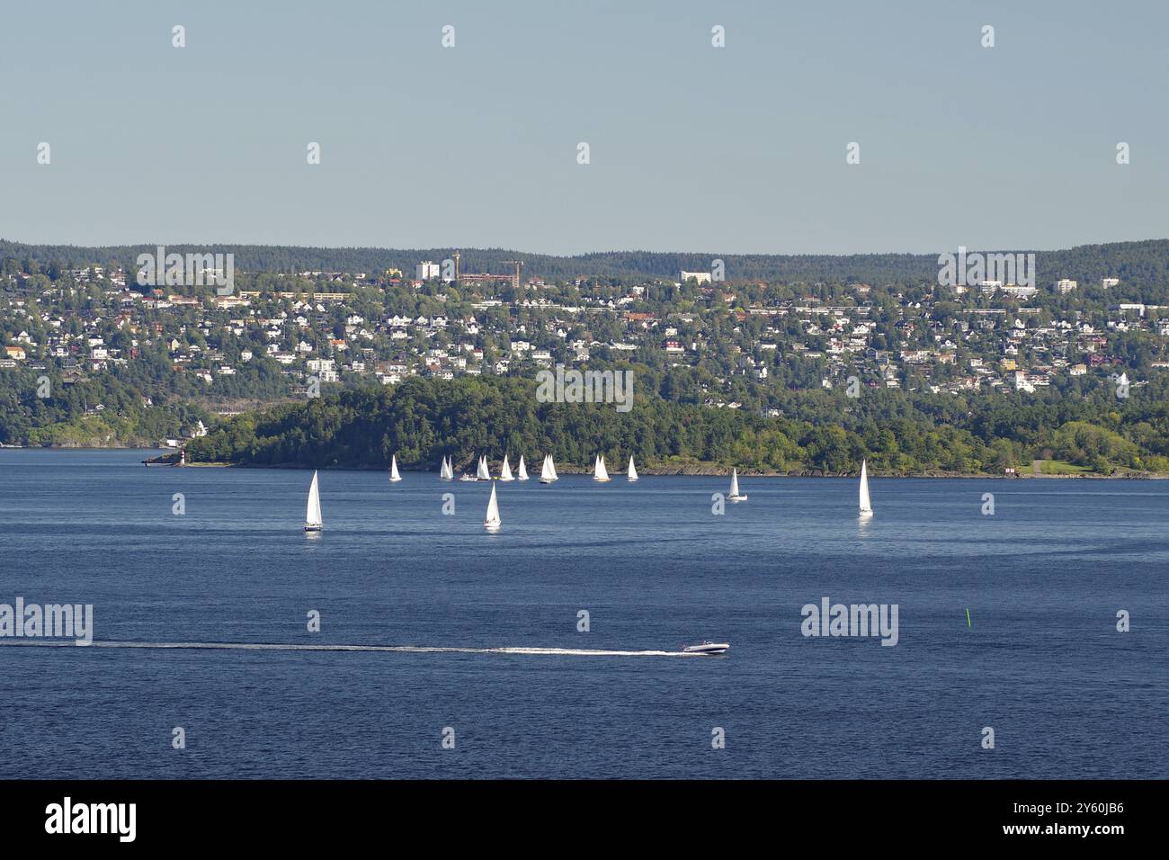 Mehrere Segelboote segeln in ruhigen Gewässern, begleitet von einer weiten hügeligen Landschaft im Hintergrund, Oslofjord, Hauptstadt, Oslo, Norwegen, Europa Stockfoto