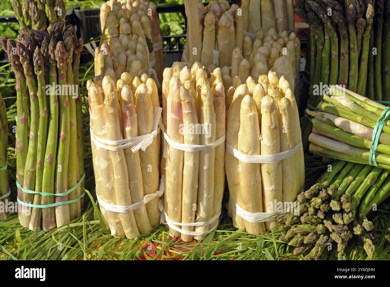 Gemüse, weißer und grüner Spargel, Marktstand, Venedig, Italien, Europa Stockfoto