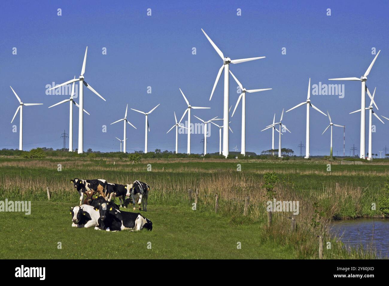 Windkraftwerk, Windturbinen, Windkraftanlage, Elektrizität, Stromerzeugung, Alternative Energien, Ostfriesland, Niedersachsen, Bundesrepublik Deutschland Stockfoto