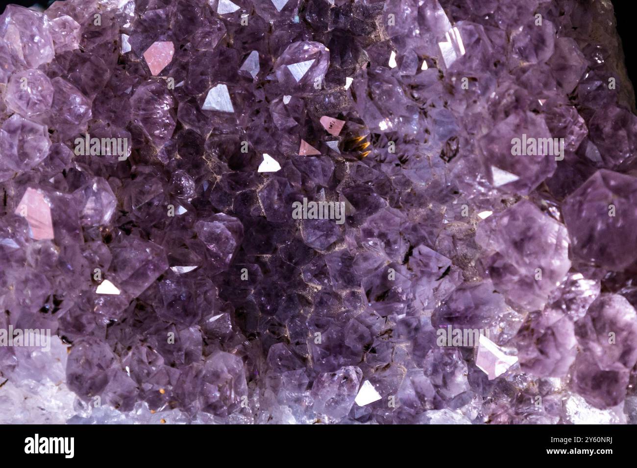 Nahaufnahme glänzender, leuchtend violetter Amethyst-Kristalle Stockfoto