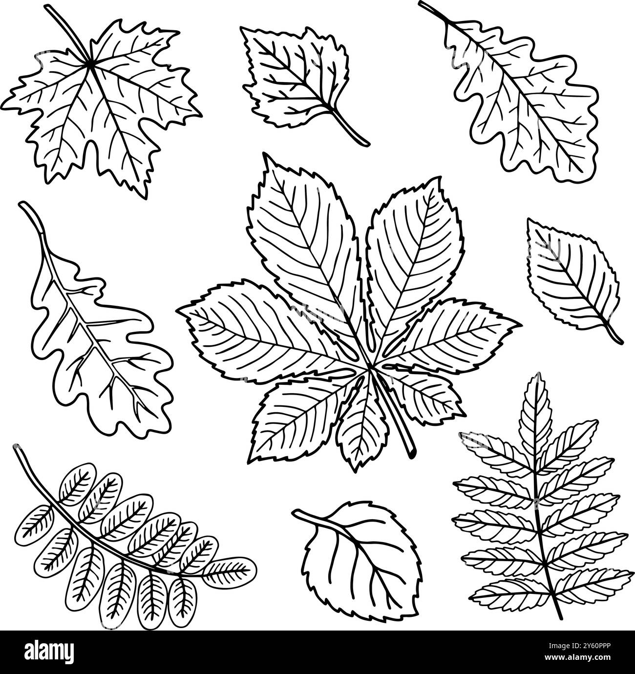 Herbstlaub von verschiedenen Bäumen, Eiche, Ahorn, Kastanien, Apfelbaum. Handgezeichnete Vektorillustration der Ausmalseite Stock Vektor