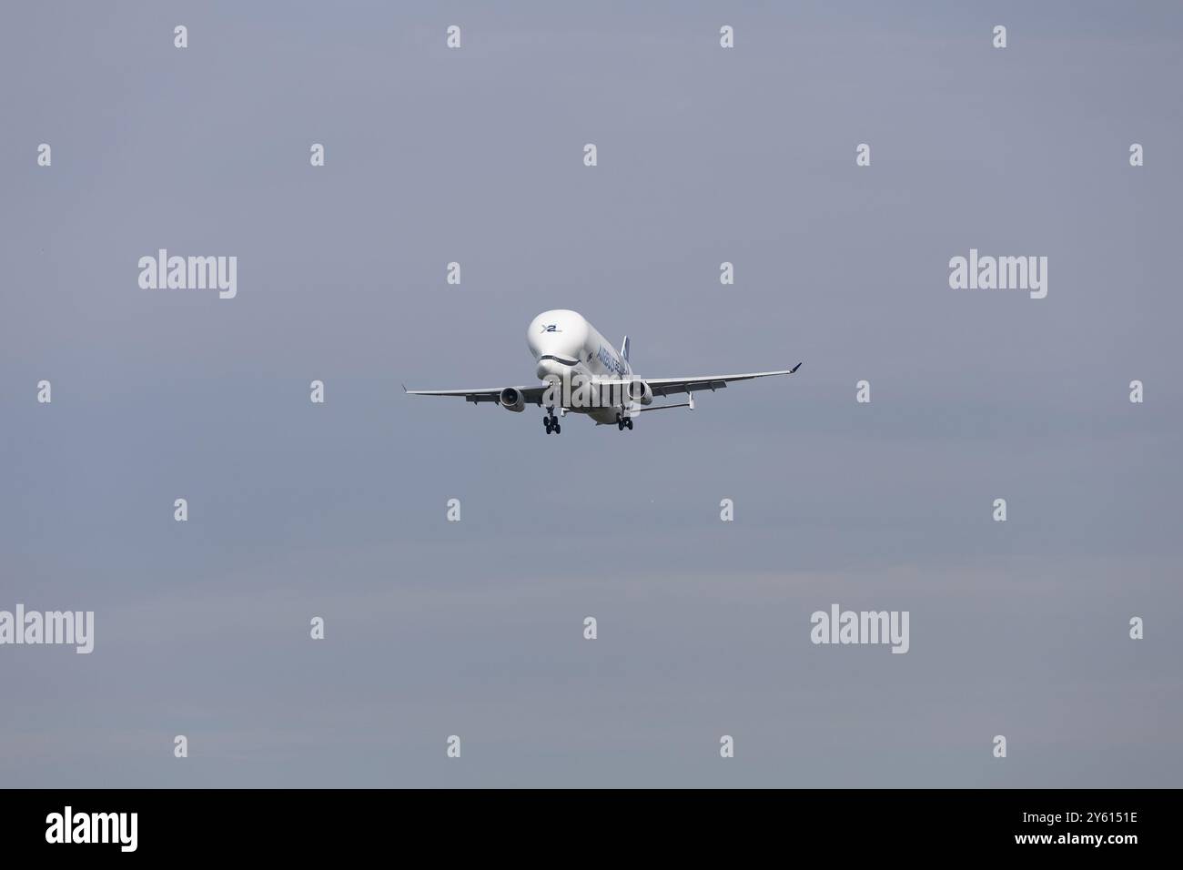 Hamburg – 23. September 2024: Airbus Beluga XL Nummer 2 landet im Airbus-Werk in Hamburg Finkenwerder Stockfoto