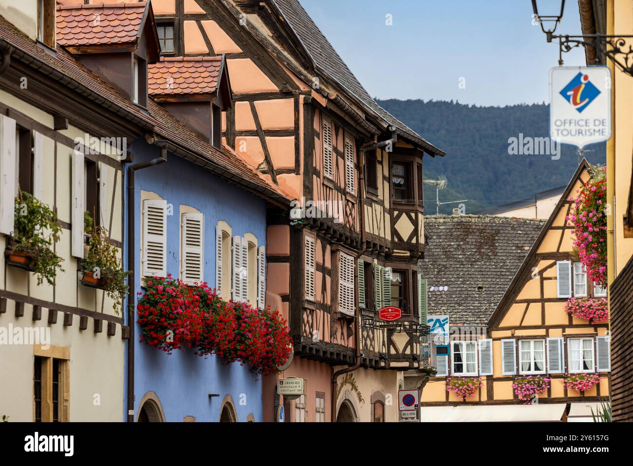 Alte Fachwerkhäuser in der historischen mittelalterlichen Altstadt von Eguisheim im Elsass und an der Elsass Weinstraße, Oberrhein, Grand Est, Frankreich, Europa Stockfoto