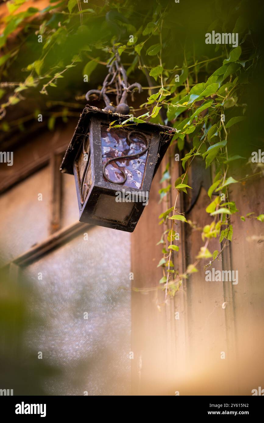 Dreckige Laterne vor einem überwachsenen Eingang zu einem alten Haus Stockfoto