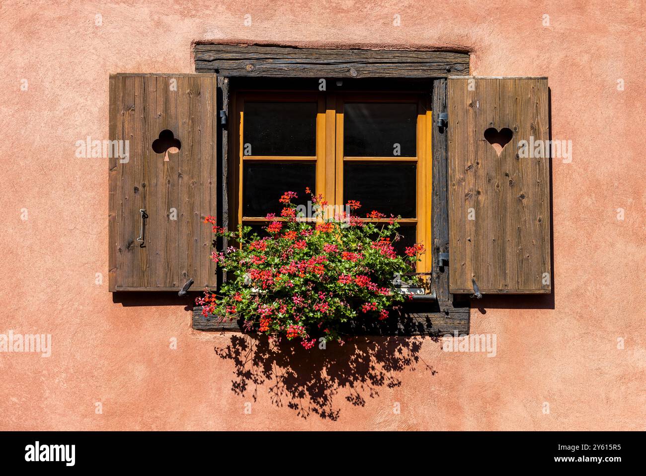 Rustikales, mit Blumen geschmücktes Fenster in der historischen Altstadt von Eguisheim im Elsass, an der elsässischen Weinstraße, Oberrhein, Grand Est, Frankreich, Europa Stockfoto