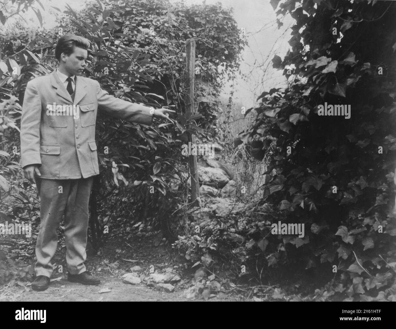 Der ENKEL DES AUTO-MAGNATEN ENTFÜHRT Saint Cloud, Paris, Frankreich: George Henon, ein Aufseher des St Cloud Golf Club, weist auf einen Bruch in der Hecke hin, durch den der Entführer von Eric Peugeot das Clubgelände betrat. Eric Peugeot, der vierjährige Enkel des französischen Automobilmagnaten Jean-Pierre Peugeot, wurde entführt und wegen Lösegeldes festgehalten. Sie sagten, er wurde gestern um 16 Uhr ohne Protest vom Golfclub von einem unbekannten Mann in einem schwarzen Auto weggeführt. Erics Vater Roland Peugeot soll um 23 Uhr einen Anruf erhalten haben, in dem er eine unbestimmte Summe für den Jungen verlangt Stockfoto