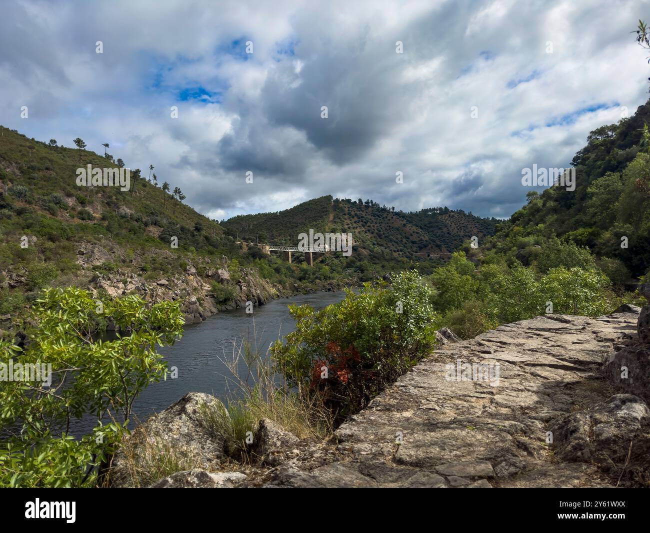 Malerischer Blick auf den Fluss Tejo (Rio Tejo) in der Nähe des Dorfes Amieira do Tejo in Alentejo, Portugal. Stockfoto
