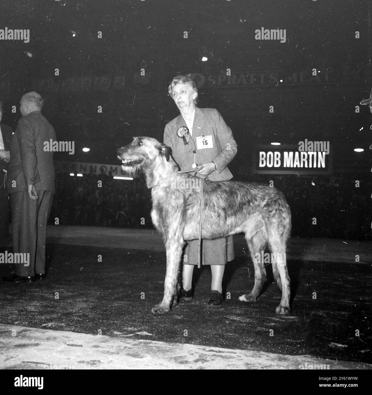 DER IRISCHE WOLFSHUND IST DER SUPREME CHAMPION DER CRUFTS HUNDESCHAU. 7. FEBRUAR 1960 Stockfoto