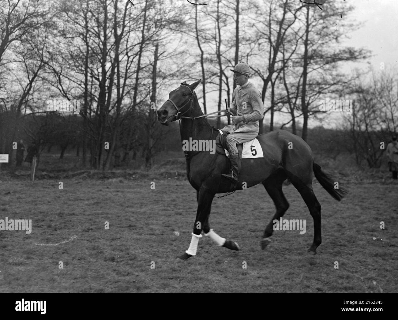 Mr. H.E. Pretymans Royal Cottage, ein robuster Achtjähriger, tritt in den Grand National ein, mit einer Art Familientradition, die es zu bewahren gilt. Vor zwei Jahren nahm sein Halbbruder "Lovely Cottage" das große Rennen an. Beide Pferde stammen von Cottage, 'Royal Cottage' aus 'Pretty Helen', 'Lovely Cottage' aus 'The nun III'. Auf diesem Bild wird "Royal Cottage", dessen Ausbildung in den Händen von Herrn Payne in London liegt, von G.Kelly geritten. 21. Januar 1948 Stockfoto