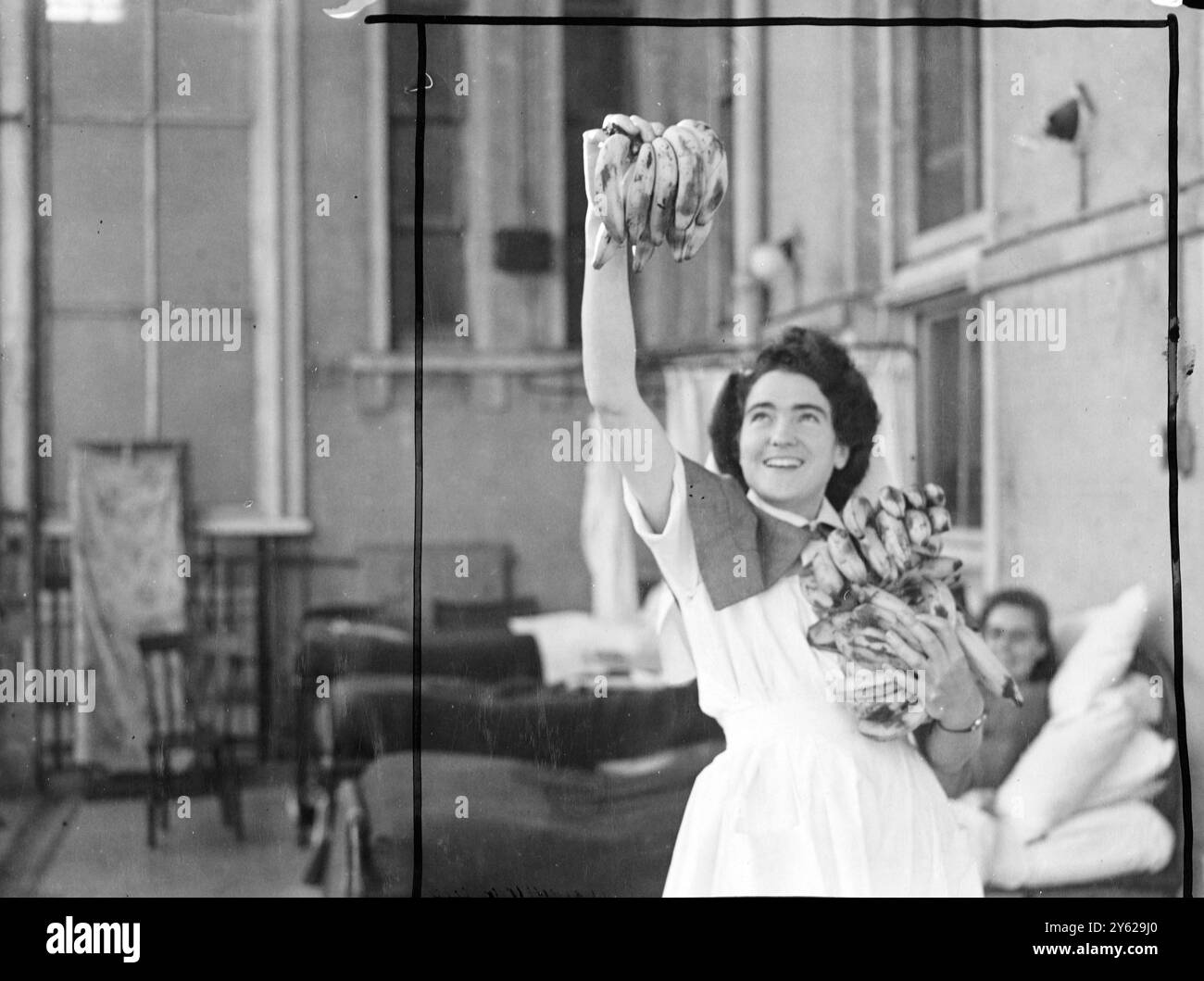 Krankenhäuser im Umkreis von 40 km um Bristol hatten heute einen Glücksfall, als Bananen aus der Fracht der Elders and Fyffes gerettet wurden. "Bayano" wurde an sie verteilt. - Die Bananenladung, die eine Woche zu spät aus Kingston, Jamaika, verschickt wurde, war zu einem großen Teil überreif und verrottete, als das Schiff anlegte. 16 Millionen von ihnen mussten an den Avonmouth Docks abgeladen werden. Andere, die bereits zu weit fortgeschritten waren, um normale Marketingkanäle zu durchlaufen, wurden direkt in die Krankenhäuser in der Gegend geschickt. Ja, sie hat Bananen! Schwester A. Brown zeigt Patienten in A Stockfoto