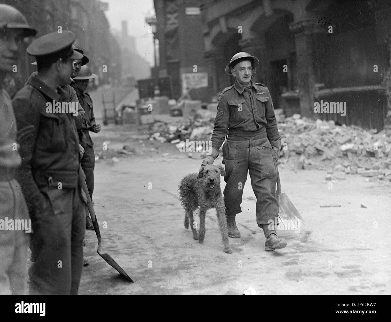 Ein Mitglied des Militärpioneer-Hilfskorps lässt einen Hund aus Luftschutt frei und plant, ihm Nahrung zu geben. Oktober 1940 Stockfoto