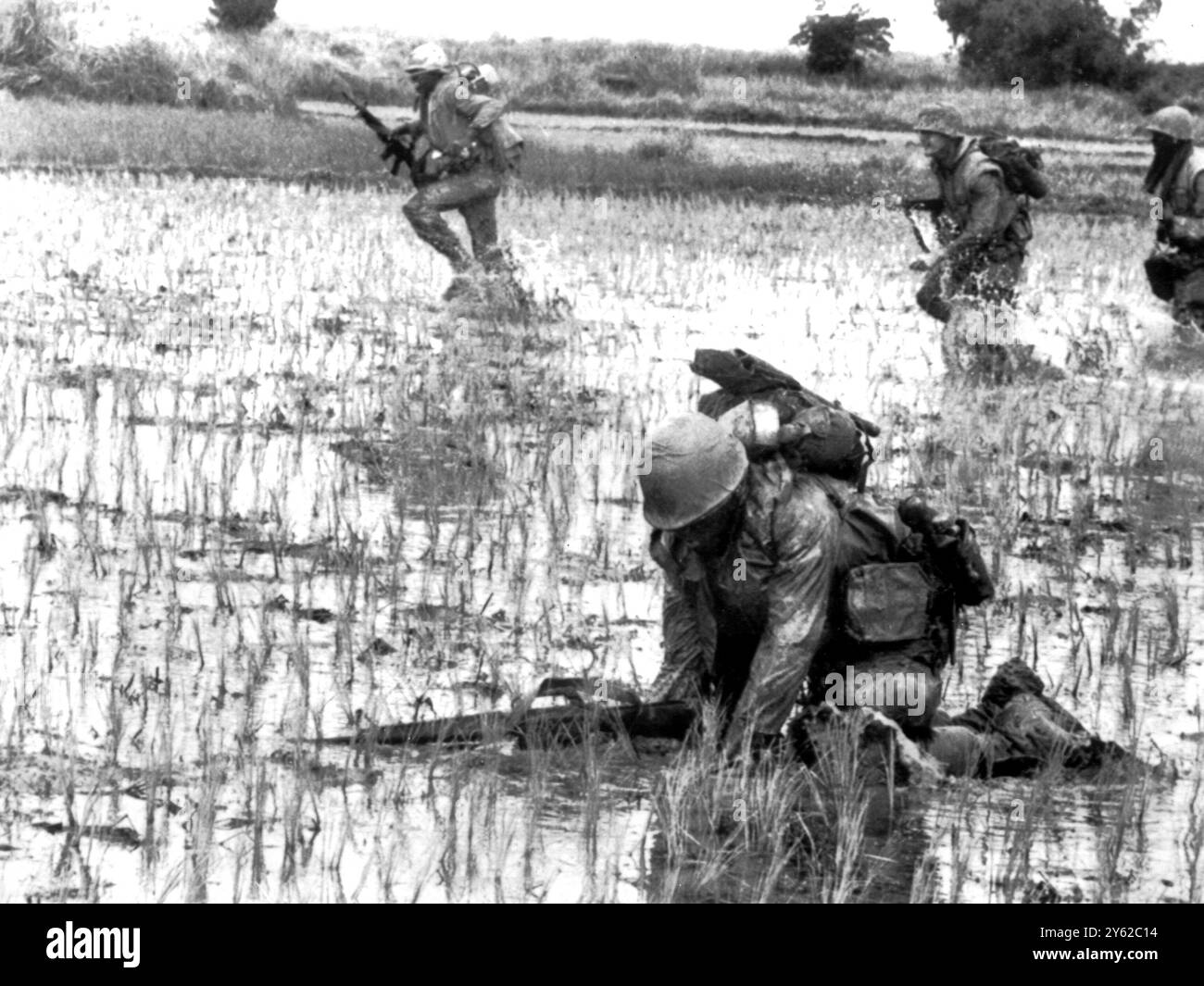 Auf dem Weg durch ein Reisfeld da Nang, Südvietnam: United States Marine holt sich aus dem Schlamm des Reisfeldes, nachdem er durch einen ruch über das offene Feld gefallen war. Die Lederhalse waren an Schüssen mit nordvietnamesischen Stammgästen beteiligt, die in sporadischen Bewegungen 20 Meilen südlich von da Nang stattfanden. Dezember 30 1967 Stockfoto