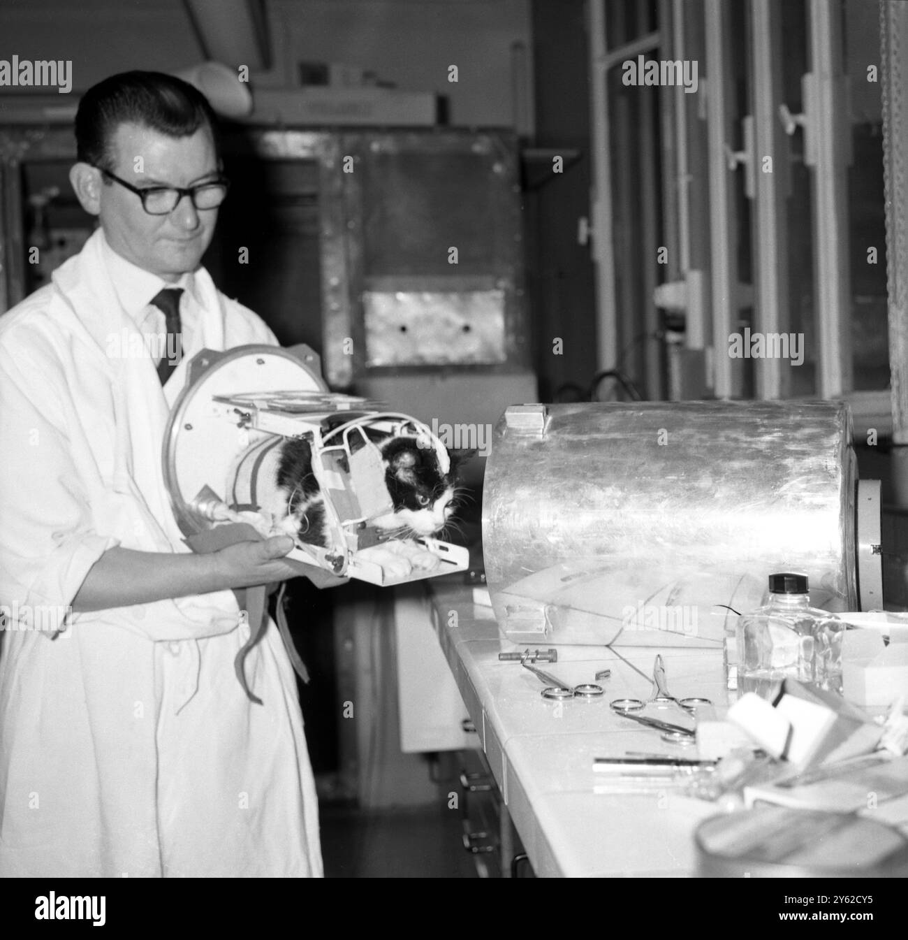Ein Techniker setzt Felicette auf ihrem Rahmen in einen Raketenzylinder ein. Die Verkabelung trägt die Reaktionen der Katze beim Flug zum Funksender. 1963 Stockfoto