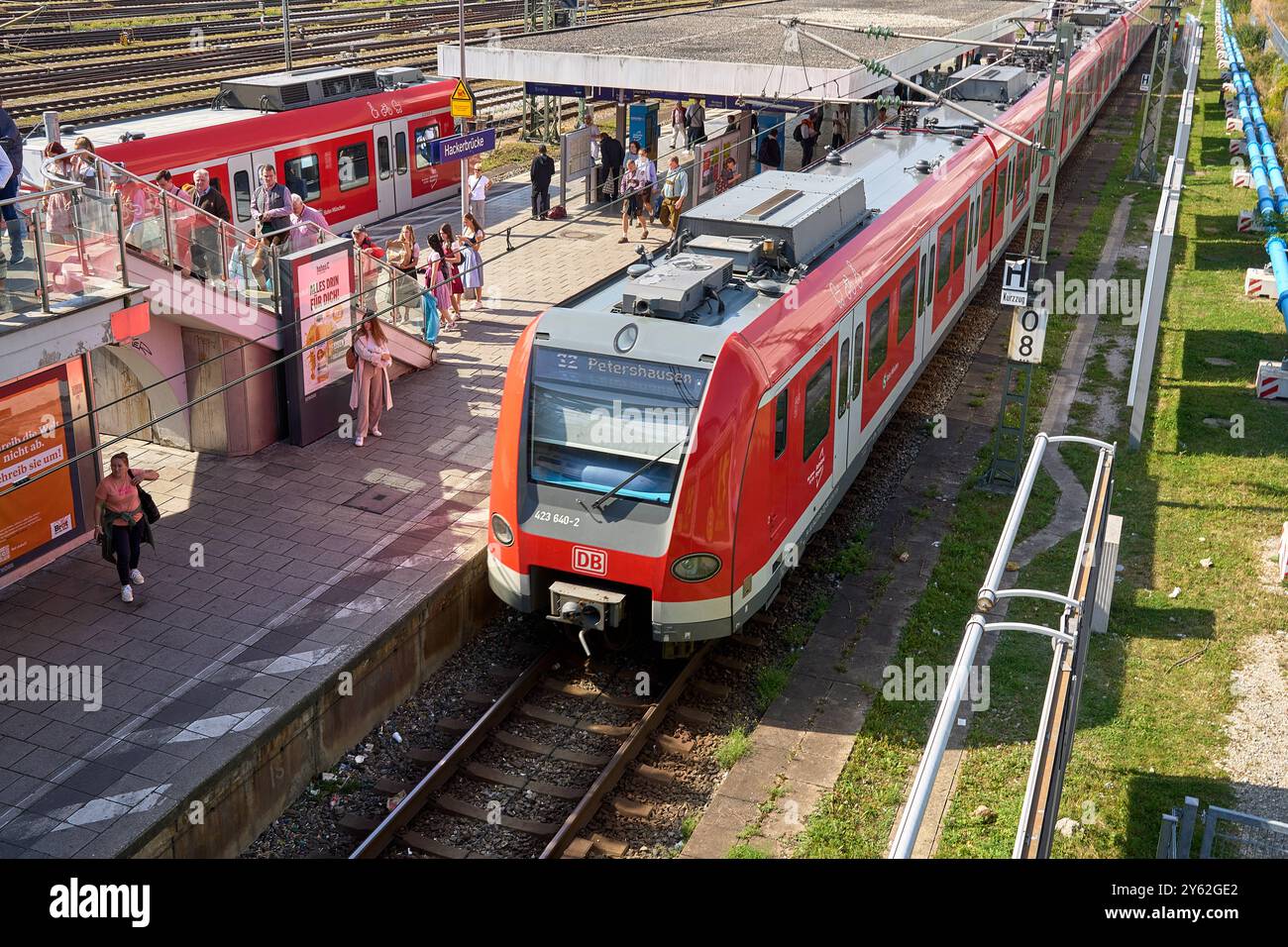 München, Bayern, Deutschland - 23. September 2024: Ein roter S-Bahn-Zug der Deutschen Bahn fährt im Bahnhof Hackerbrücke in München ein Stockfoto München, Bayern, Deutschland - 23. September 2024: Ein roter S-Bahn-Zug der Deutschen Bahn fährt im Bahnhof Hackerbrücke in München ein Stockfoto