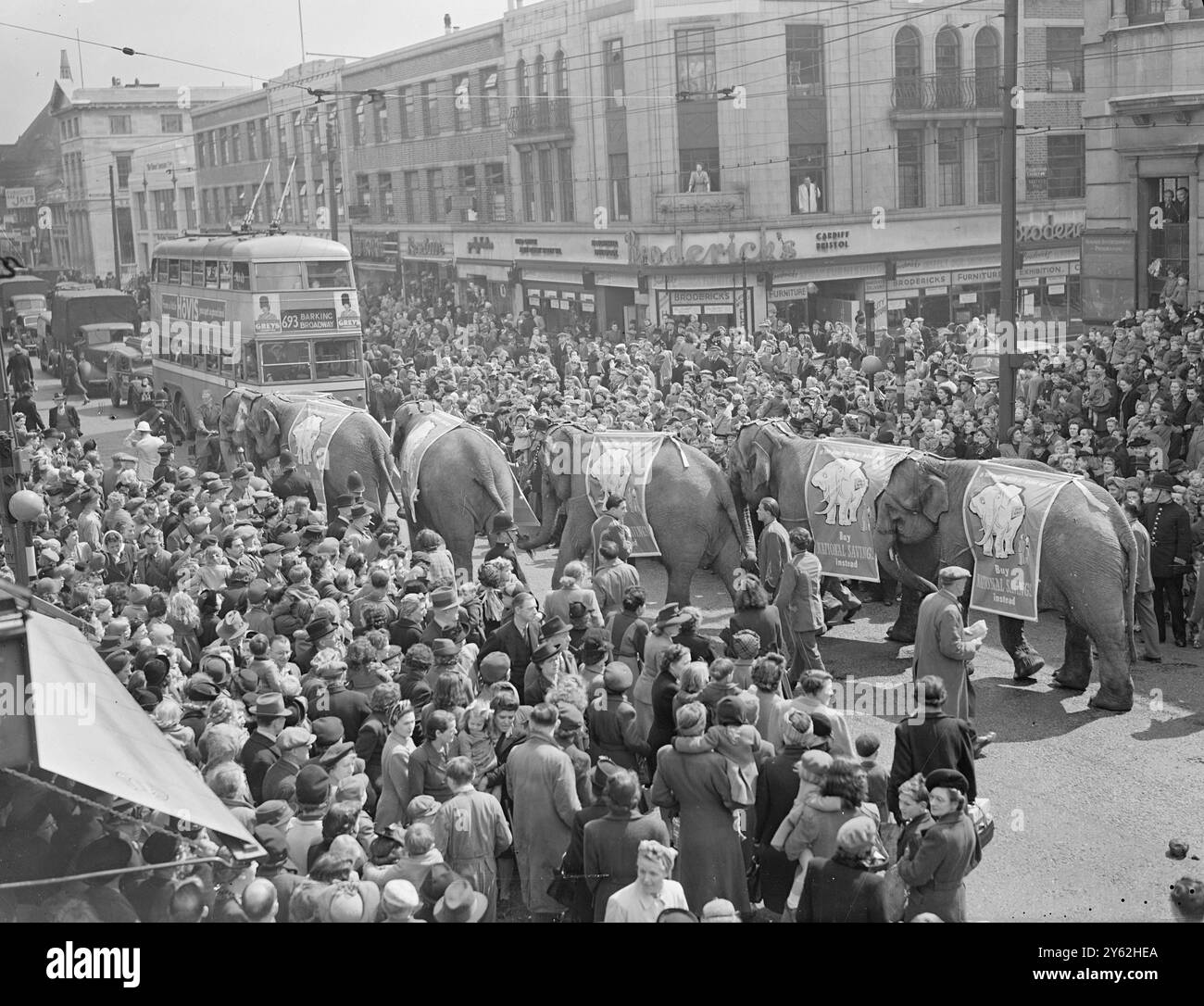 Im Rahmen des Posters "White Elephant" fand heute in Goodmayes, Essex, eine Parade und Ausstellung von sechs Elefanten aus dem Zirkus der Bertram Mill statt. DAS BILD ZEIGT: "TRUNKS ROAD" - die sechs Elefanten machen seltsamen Verkehr, als sie heute die Ilford High Road, Essex, mit einem "Kauf uns nicht, wenn du uns nicht willst" -Air hinunterziehen. 5. Mai 1948 Stockfoto