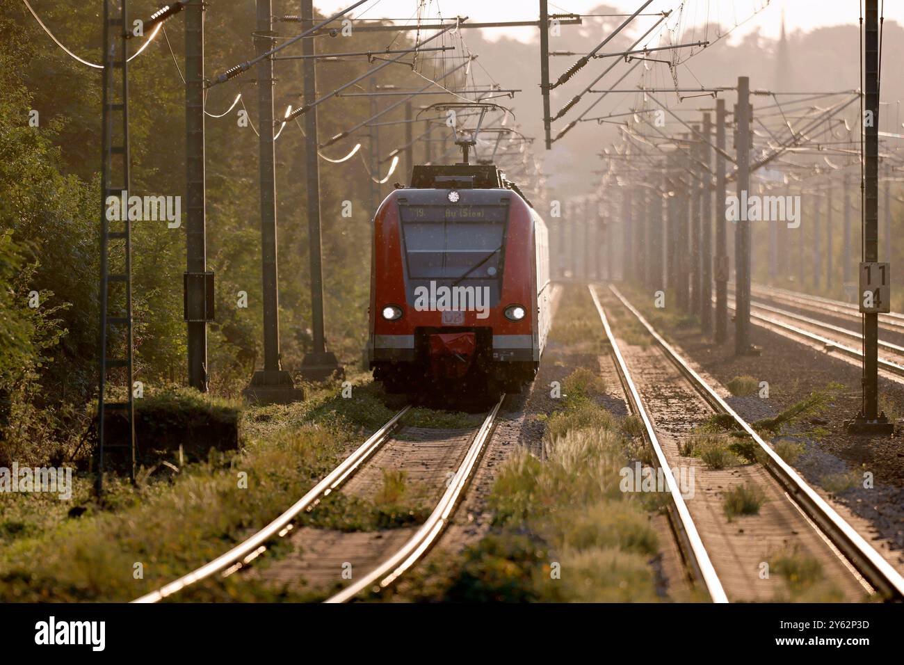 Eine S-Bahn fährt auf der Bahntrasse zwischen Horrem und Köln. Das Deutschlandticket soll ab dem kommenden Jahr teurer werden und dann statt 49 dann 58 Euro Kosten. Darauf verständigten sich die Verkehrsminister der Länder. Themenbild, Symbolbild Köln, 23.09.2024 NRW Deutschland *** ein S-Bahn-Zug fährt auf der Bahnstrecke Horrem–Köln das Deutschlandticket soll ab dem kommenden Jahr teurer werden und dann 58 Euro statt 49 Euro Kosten Dies wurde von den Verkehrsministern der länder vereinbart Themenbild, symbolisches Bild Köln, 23 09 2024 NRW Germany Copy Stockfoto