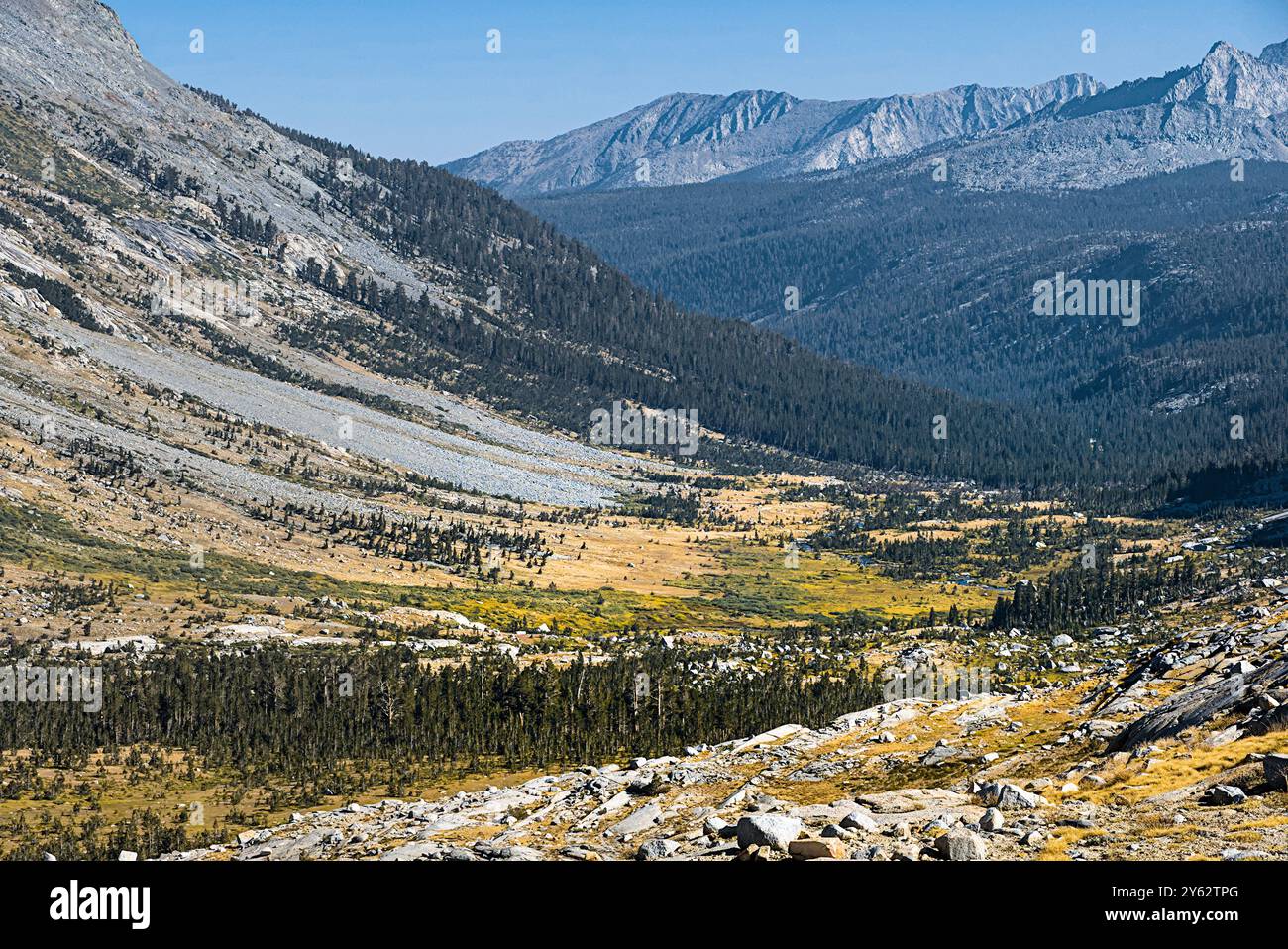 Tal nahe der kontinentalen Wasserscheide entlang des High Sierra Trail. Stockfoto