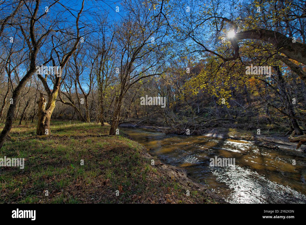 USA - 22. September 2024: Die Blätter wechseln sich im warmen Nachmittagslicht am Beaverdam Creek bei Philomont. Der Herbst e Stockfoto