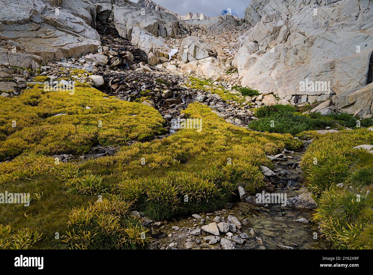 Creek fließt vom Berg in der Nähe von Trail Camp herunter. Stockfoto