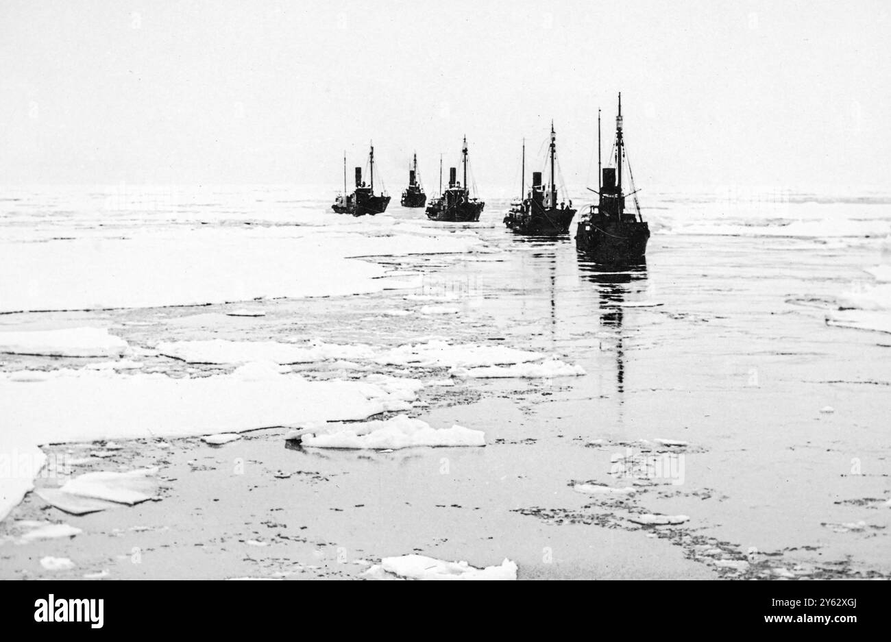 Walfang im südlichen Ozean 1910-1920, Flotte norwegischer Walfangschiffe, einzigartige Fotos vom Schiffsarzt. Stockfoto