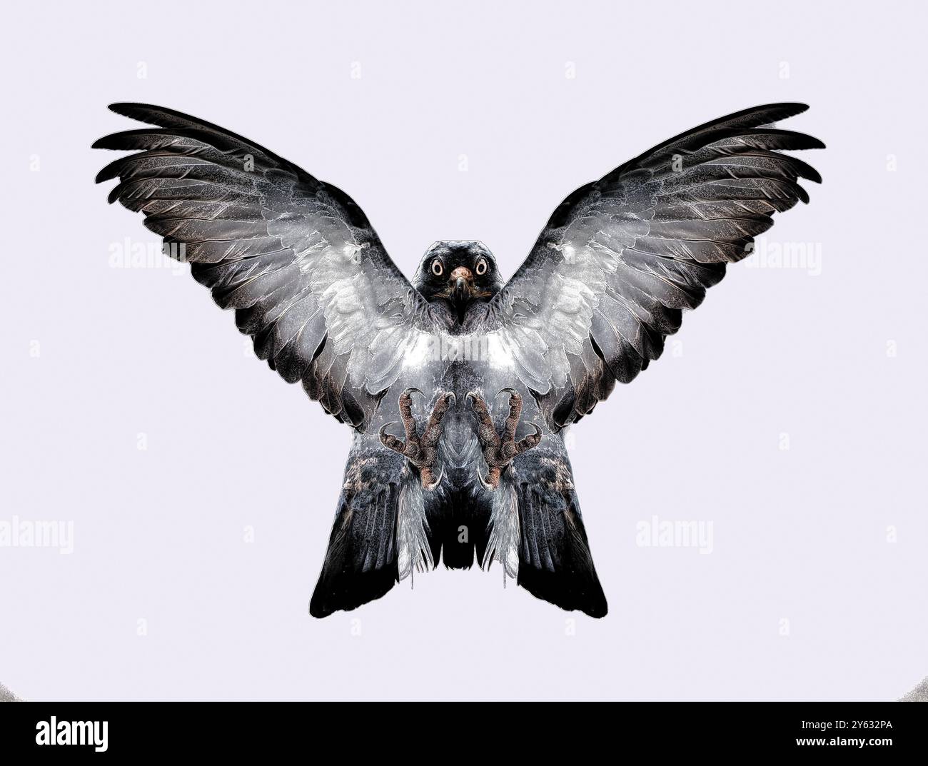 Ein fiktiver Vogel mit flatternden Flügeln Stockfoto