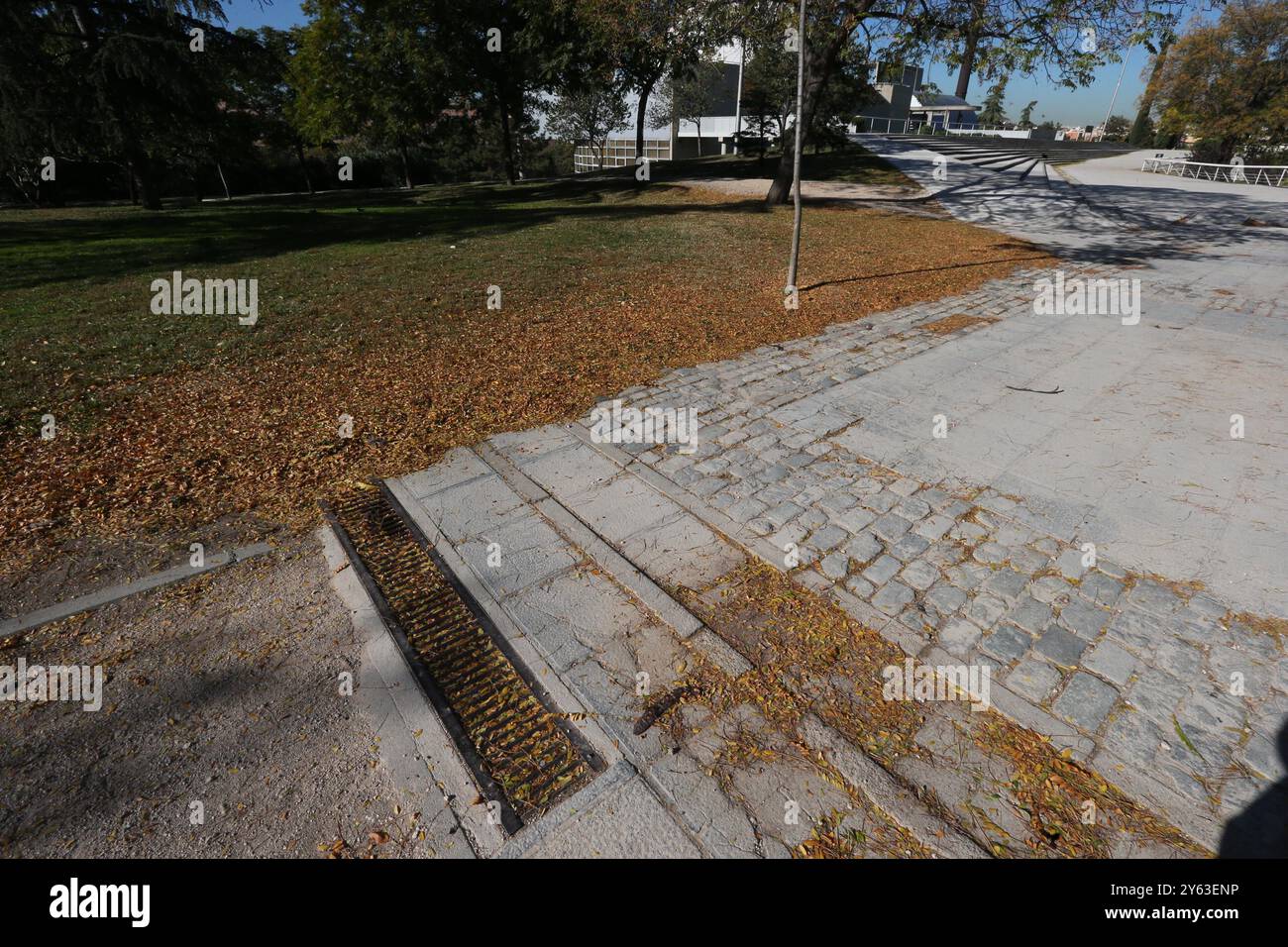 Madrid, 14.11.2017. Der Teich des Tierno-Galván-Parks im Bezirk Arganzuela. Verschlechterung des Bereichs. Blattstreu. Foto: Jaime García. ARCHDC. Quelle: Album / Archivo ABC / Jaime García Stockfoto