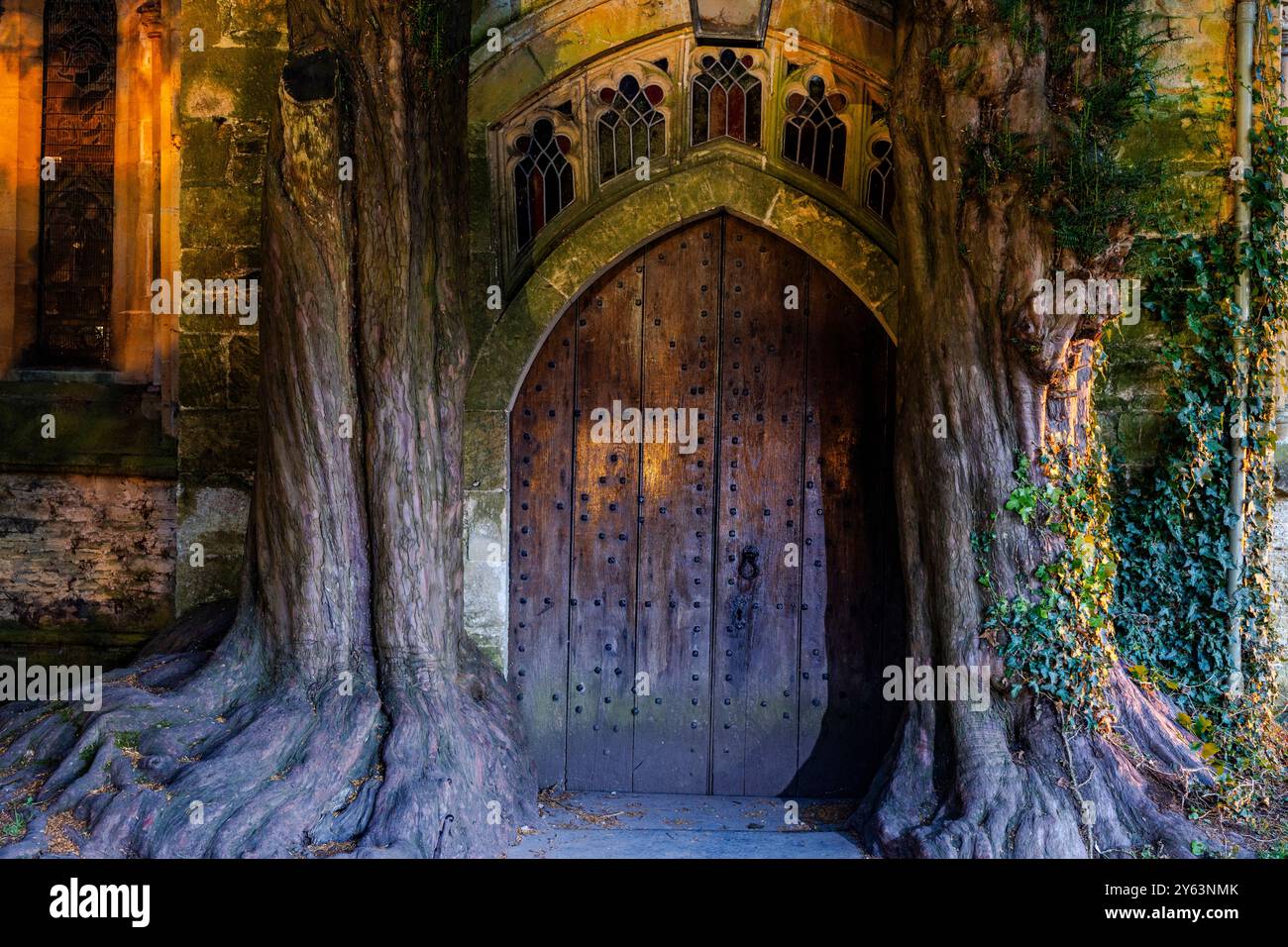 Historische Kirche St. Edwards Tür eingerahmt von zwei großen Eiben in Stow on Wold, Untied Kingdom Stockfoto