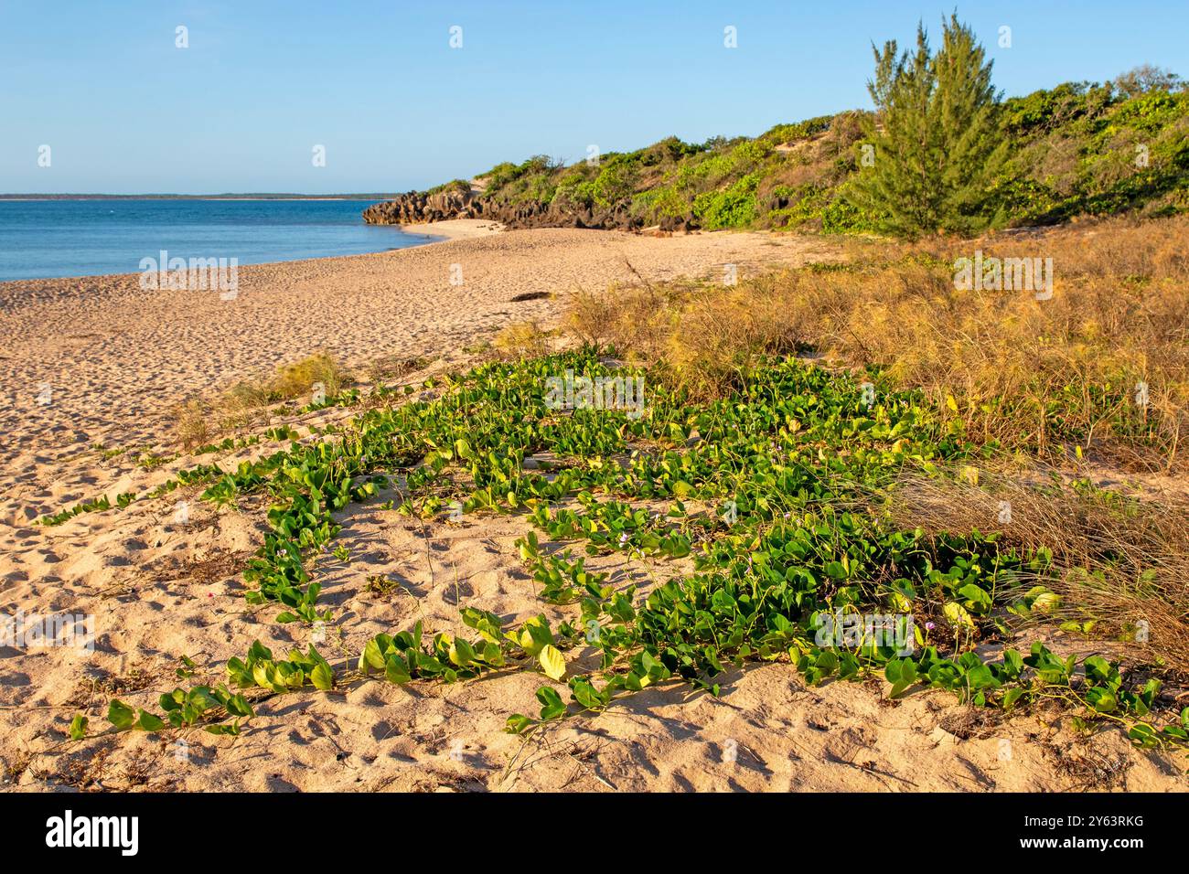 Strand am Cape Wirrawoi (Wirrwawuy) Stockfoto