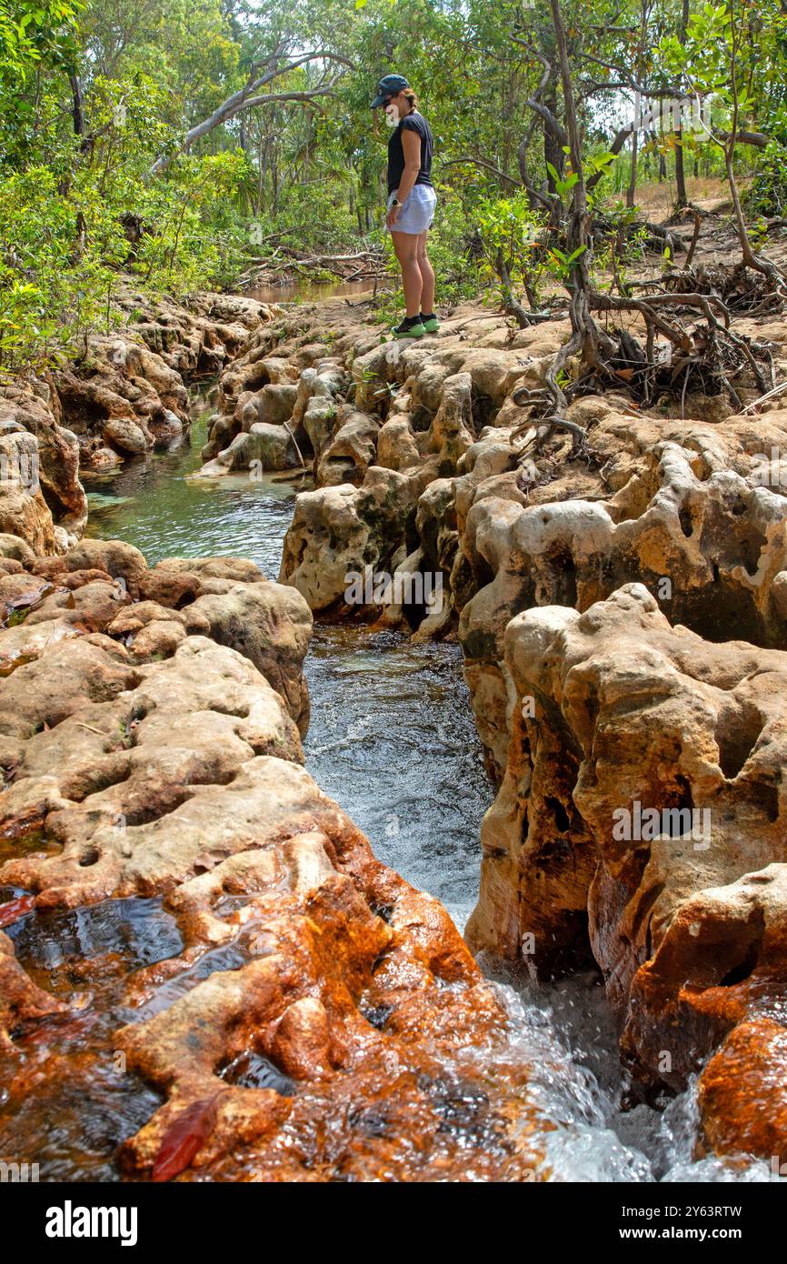 Goanna Lagune (Wathawuy) Stockfoto