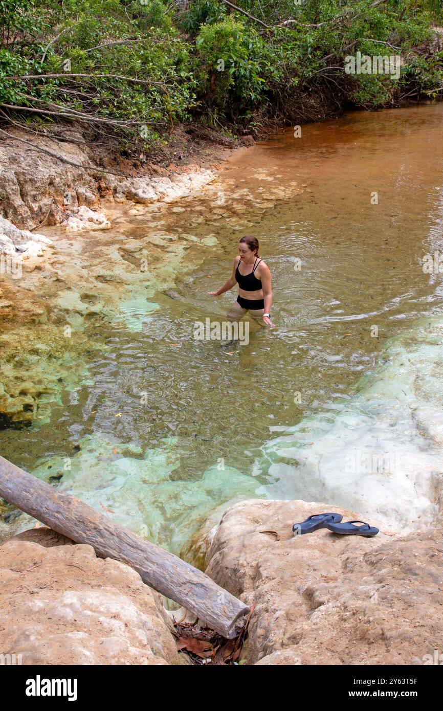 Schwimmen in der Goanna Lagune (Wathawuy) Stockfoto