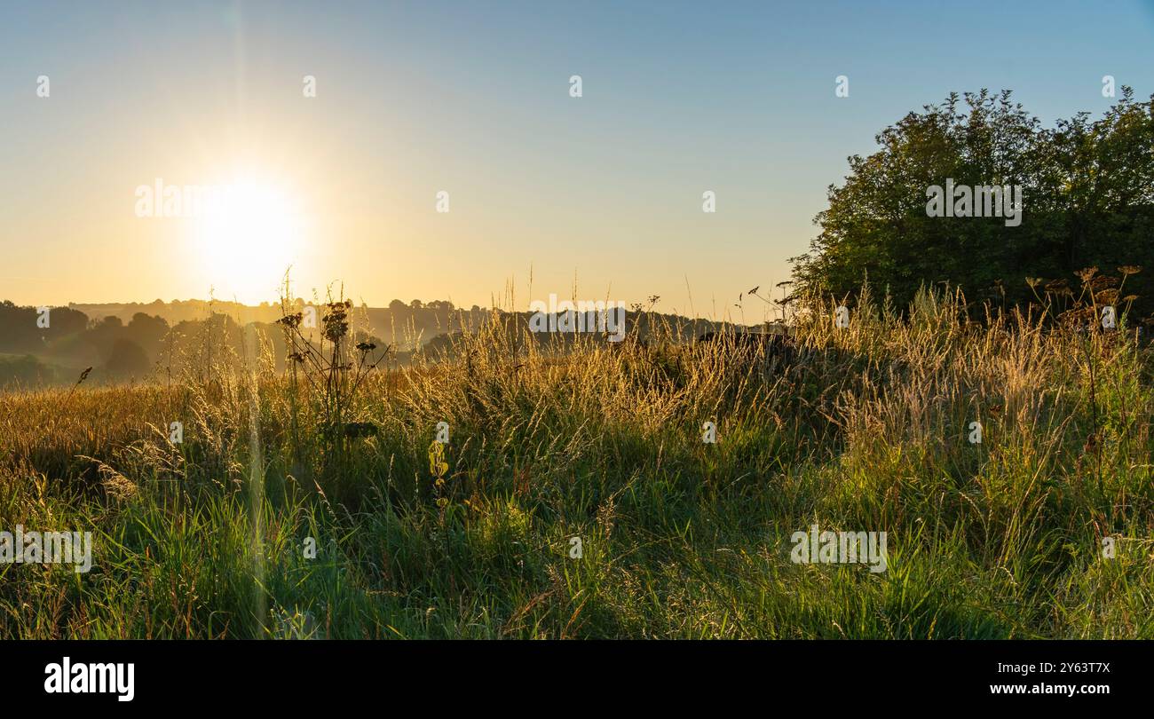 Sunburst über Brachland im ungebundenen Königreich der Cotswolds. Stockfoto