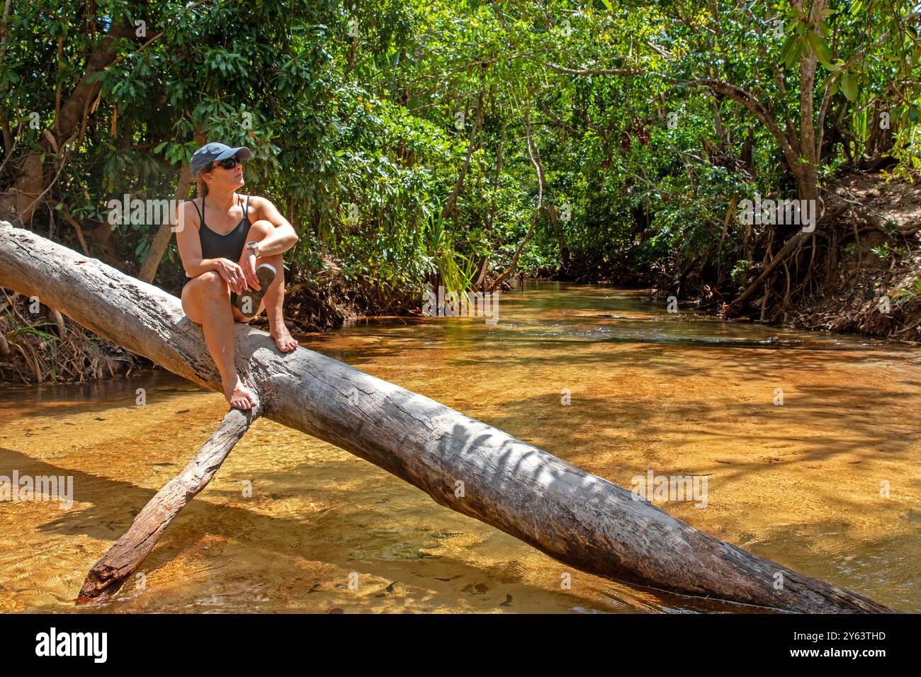 Frau auf einem umgestürzten Baum in Latram (Wathawuy) Stockfoto